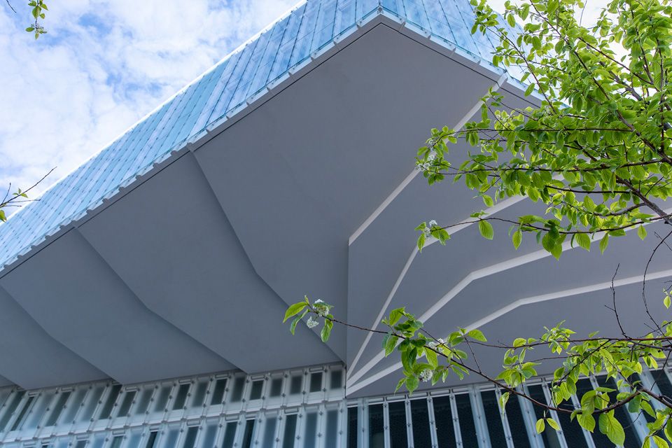 The corner of the building seen from a worm's-eye view with two trees.