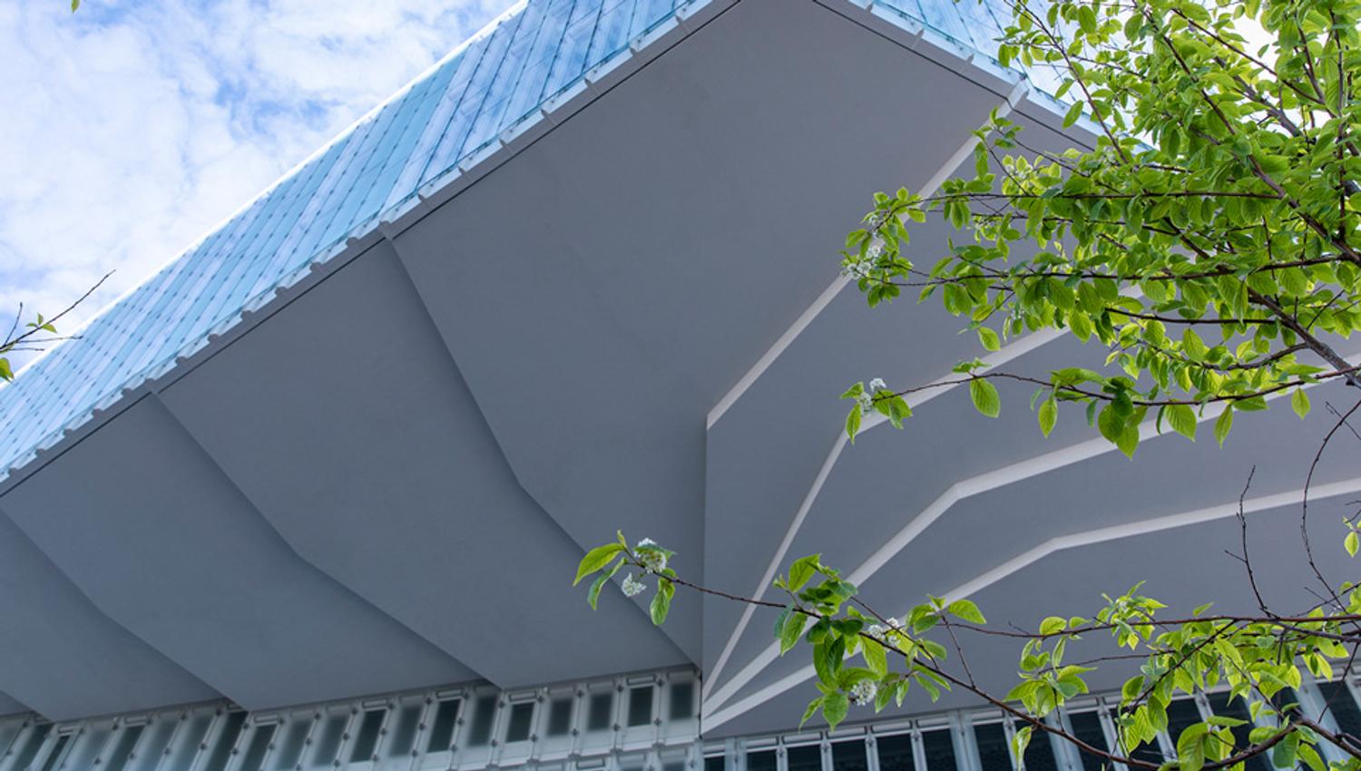 The corner of the building seen from a worm's-eye view with two trees.
