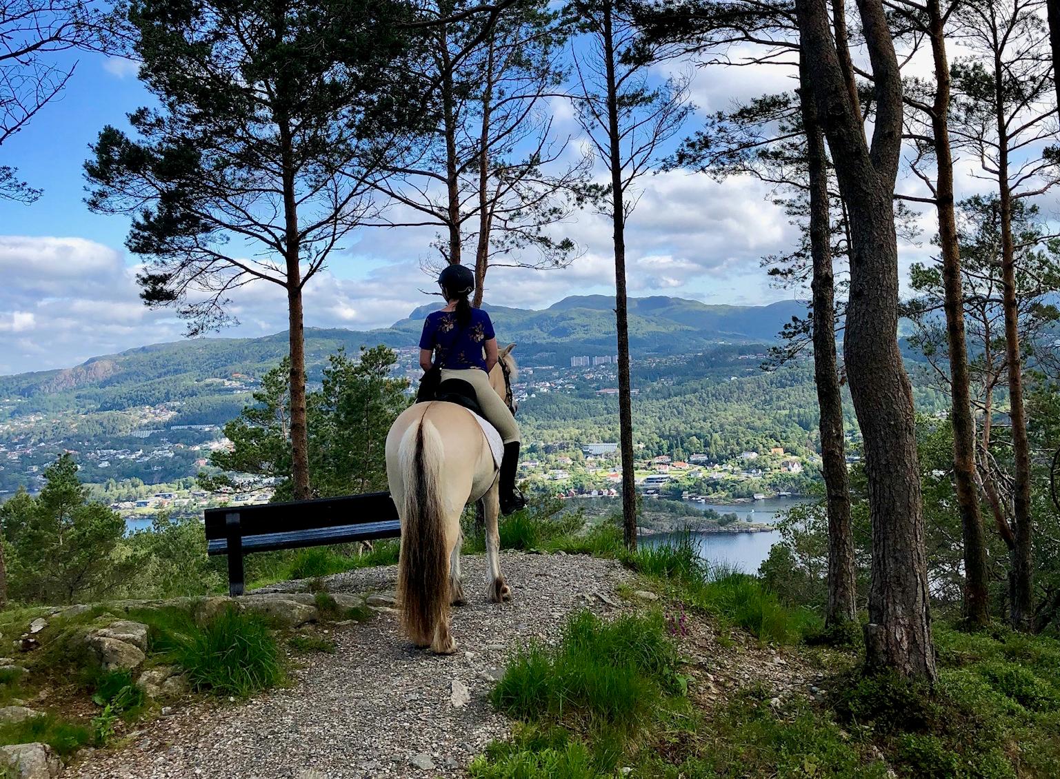 Unique riding tour in the mountains surrounding Bergen city centre