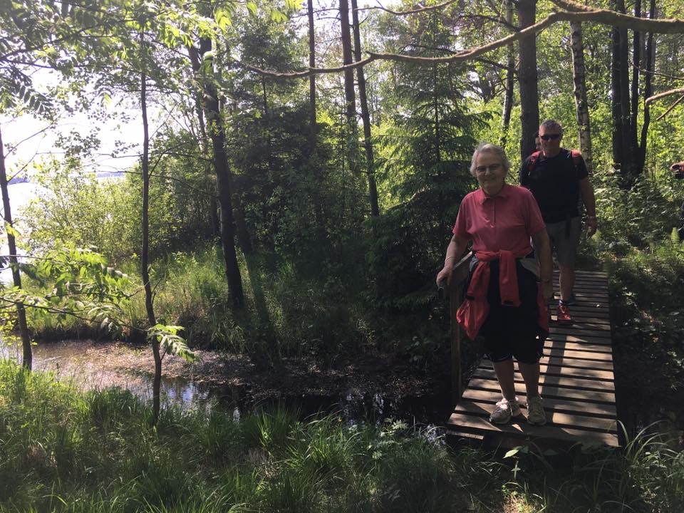 Del av kyststien med bro over en bekk