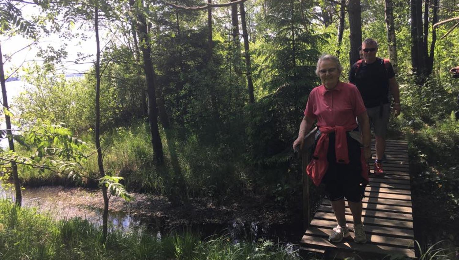 Del av kyststien med bro over en bekk