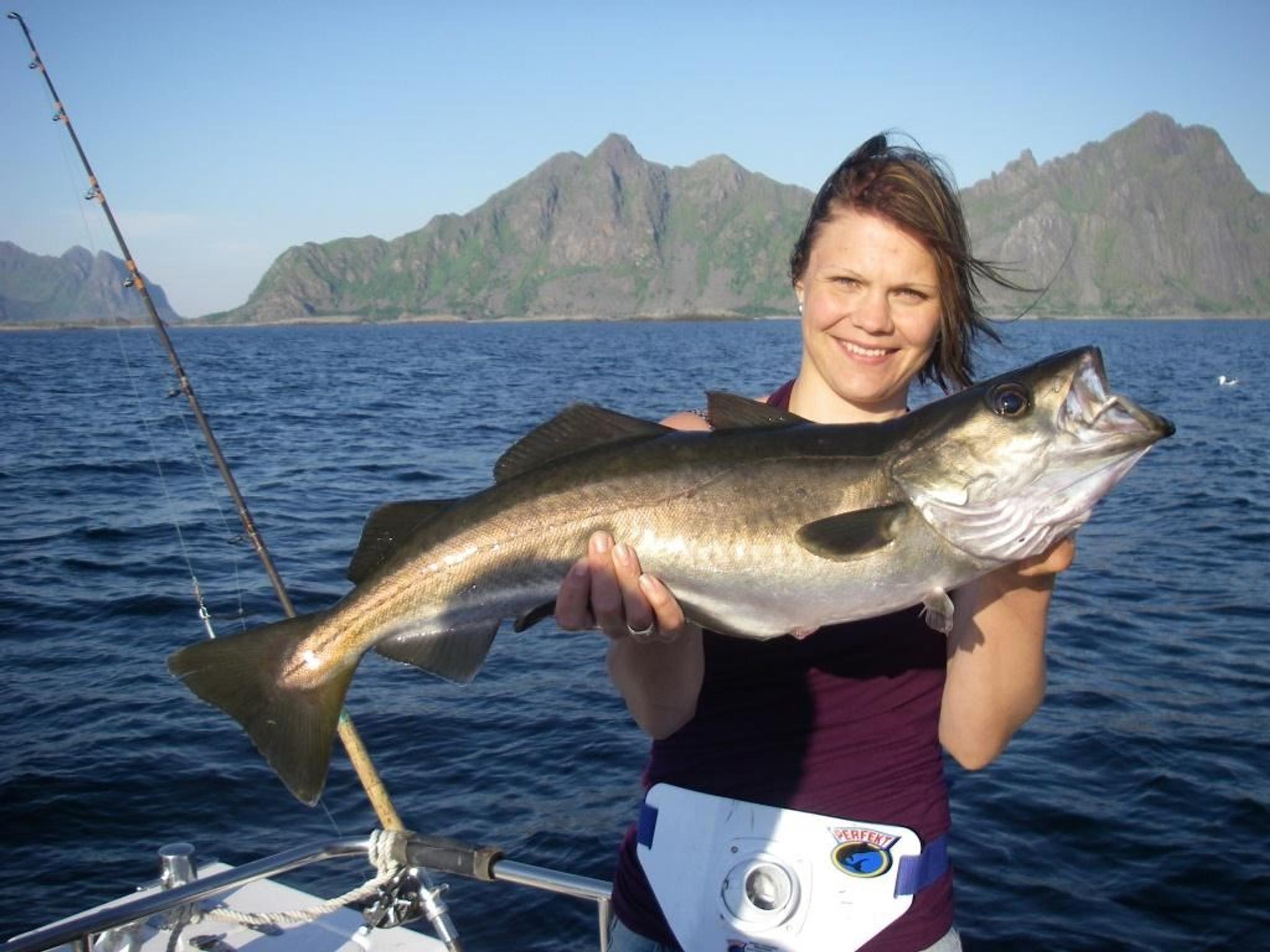 Sportsfiske i Lofoten