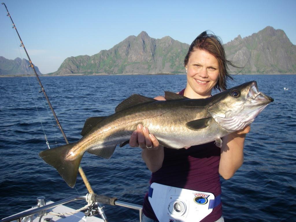 Sportsfiske i Lofoten