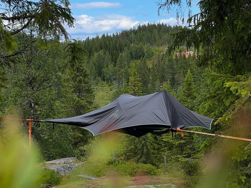 Grey tent among the pruce trees