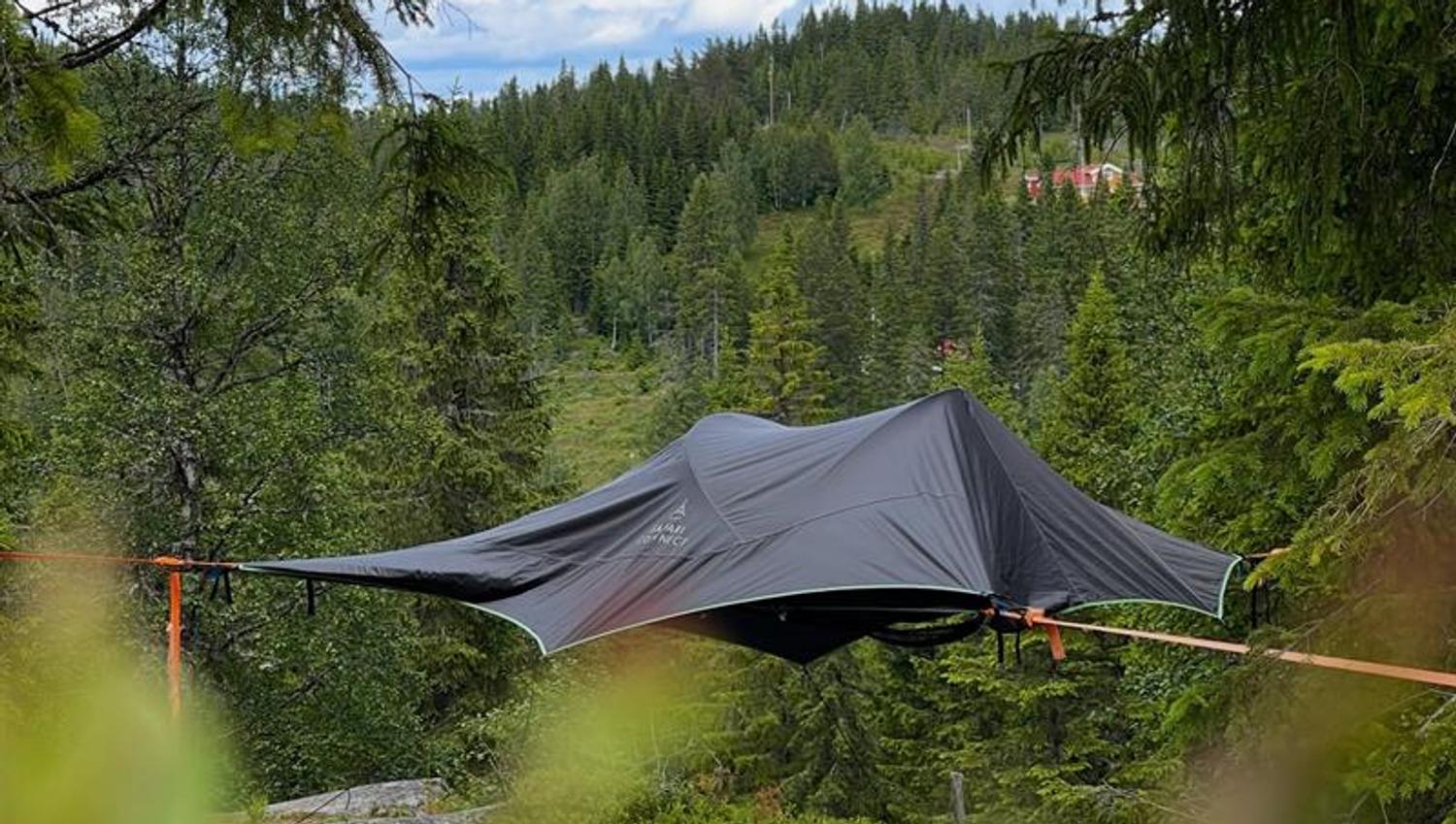 Grey tent among the pruce trees