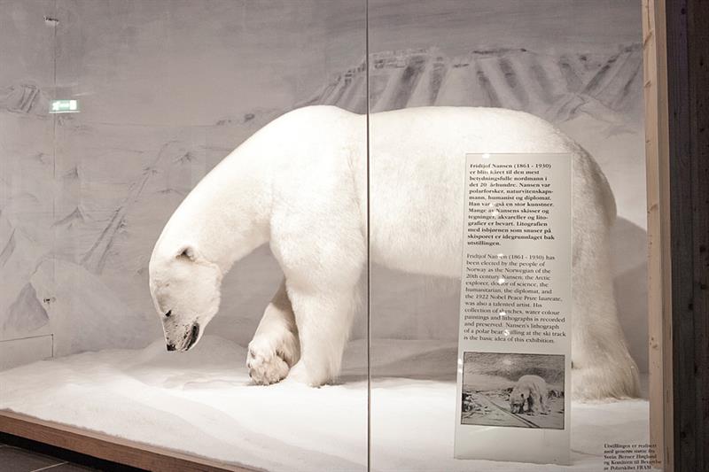 Utstoppet isbjørn bak glassmonter.