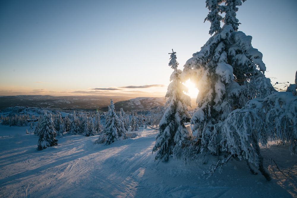 vinterlandskap på Lifjell i Telemark