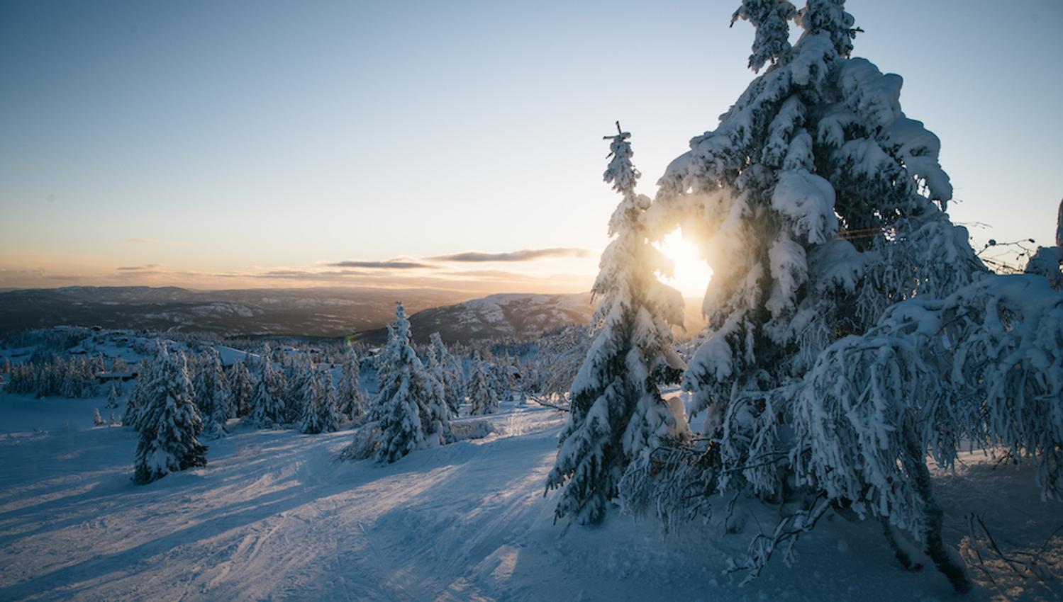 vinterlandskap på Lifjell i Telemark