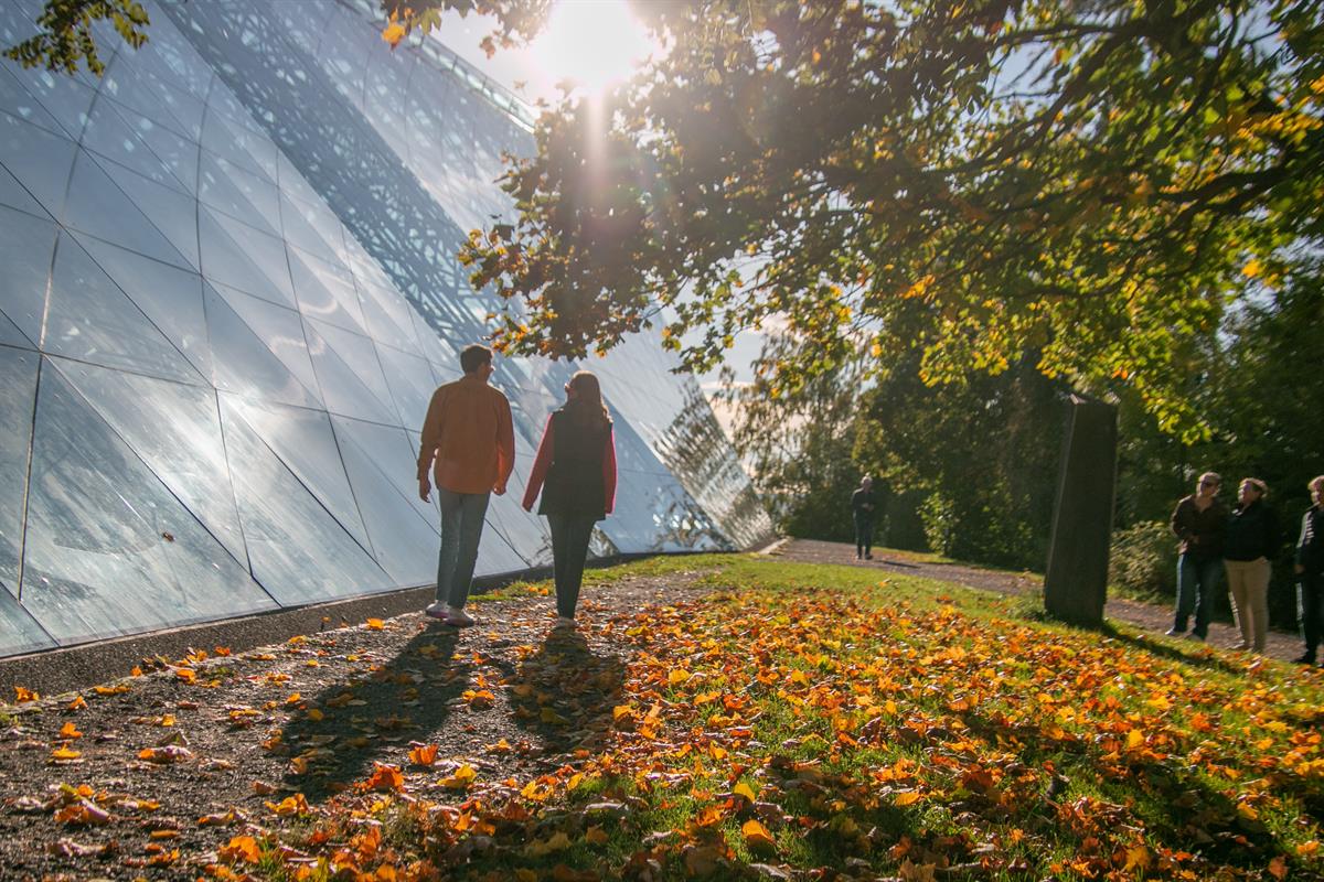 To personer går på en gressbakke med høstløv, ved siden av en stor bygning med glassfasade.