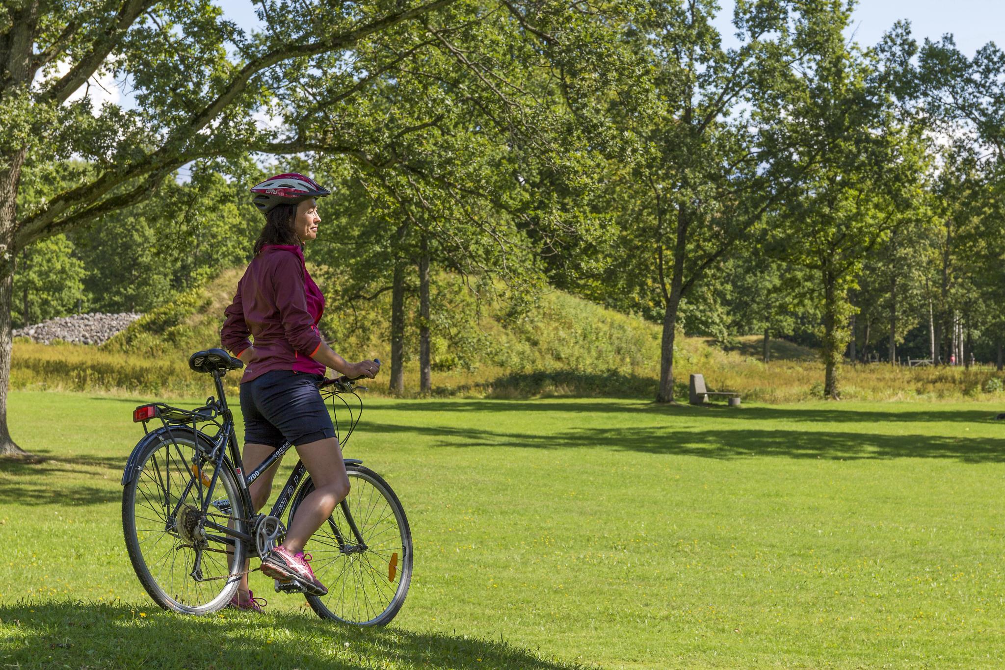 Sykkel i Borreparken