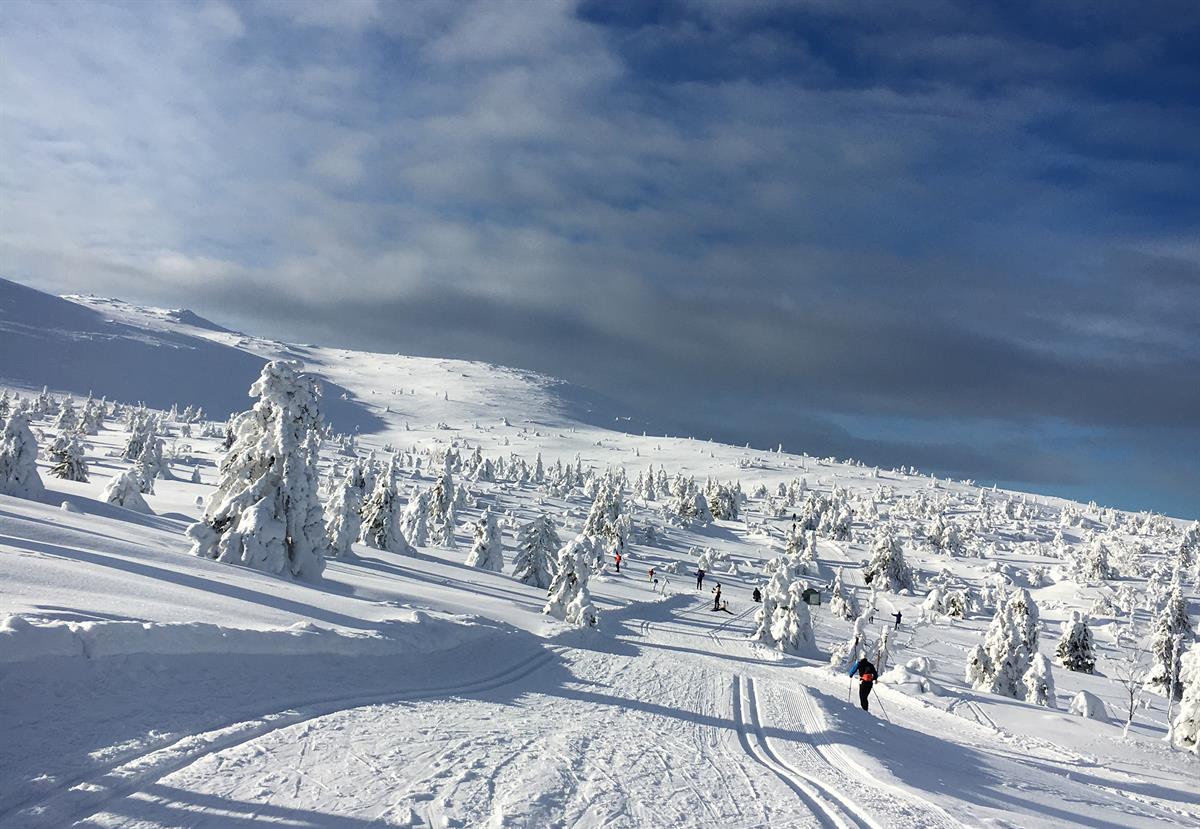 Trysil winter wonderland