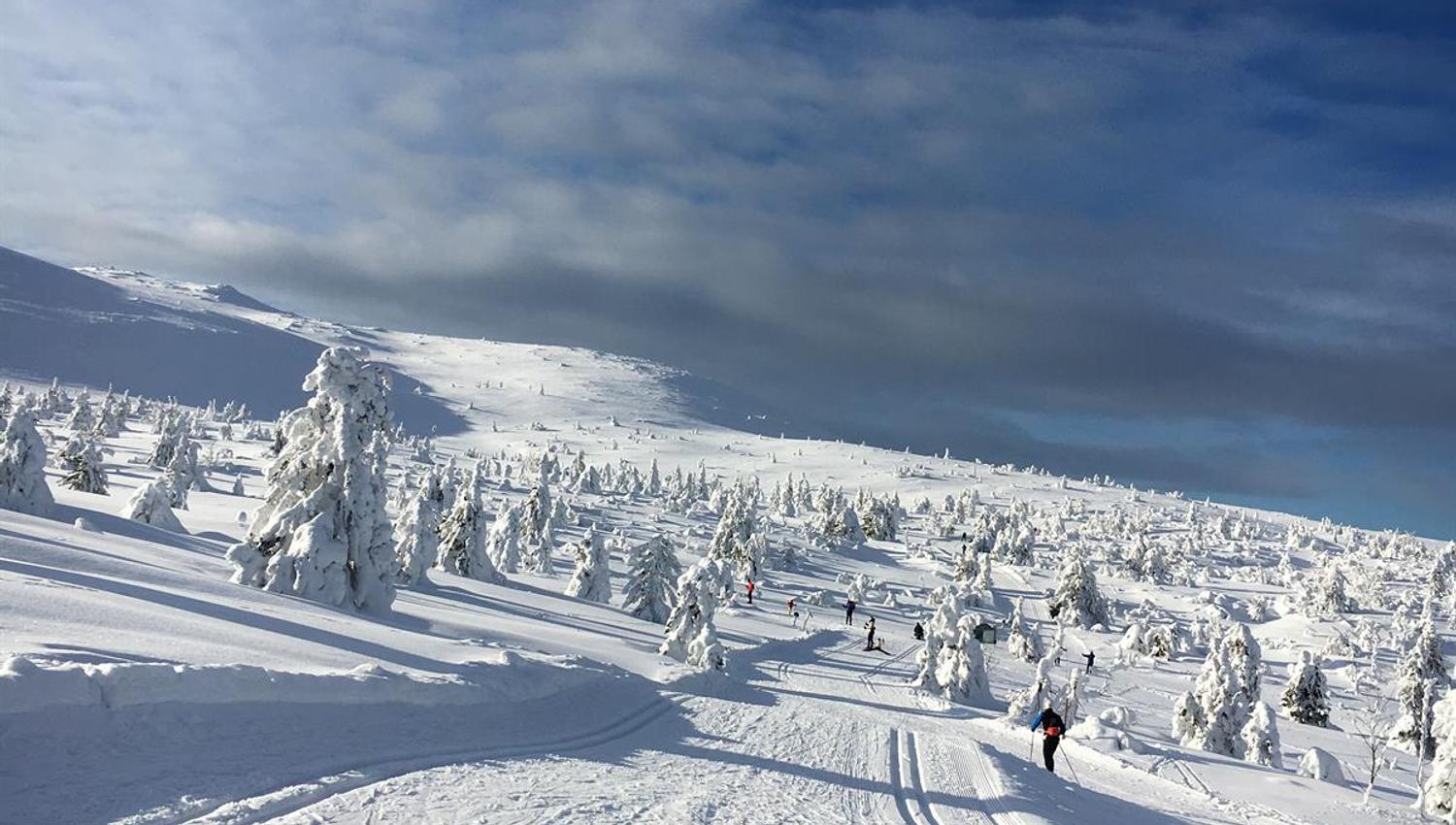 Trysil winter wonderland