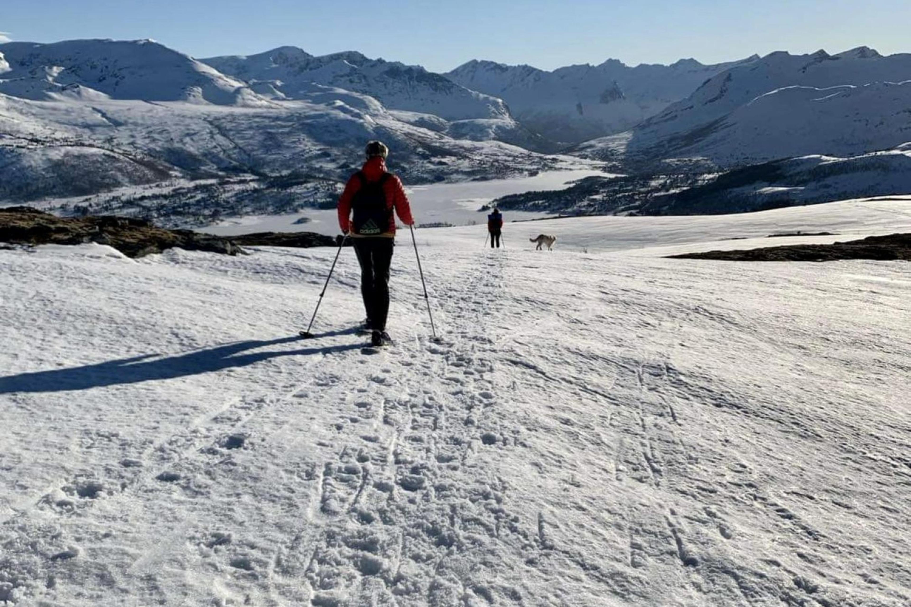 Guided winter hiking on snowshoes