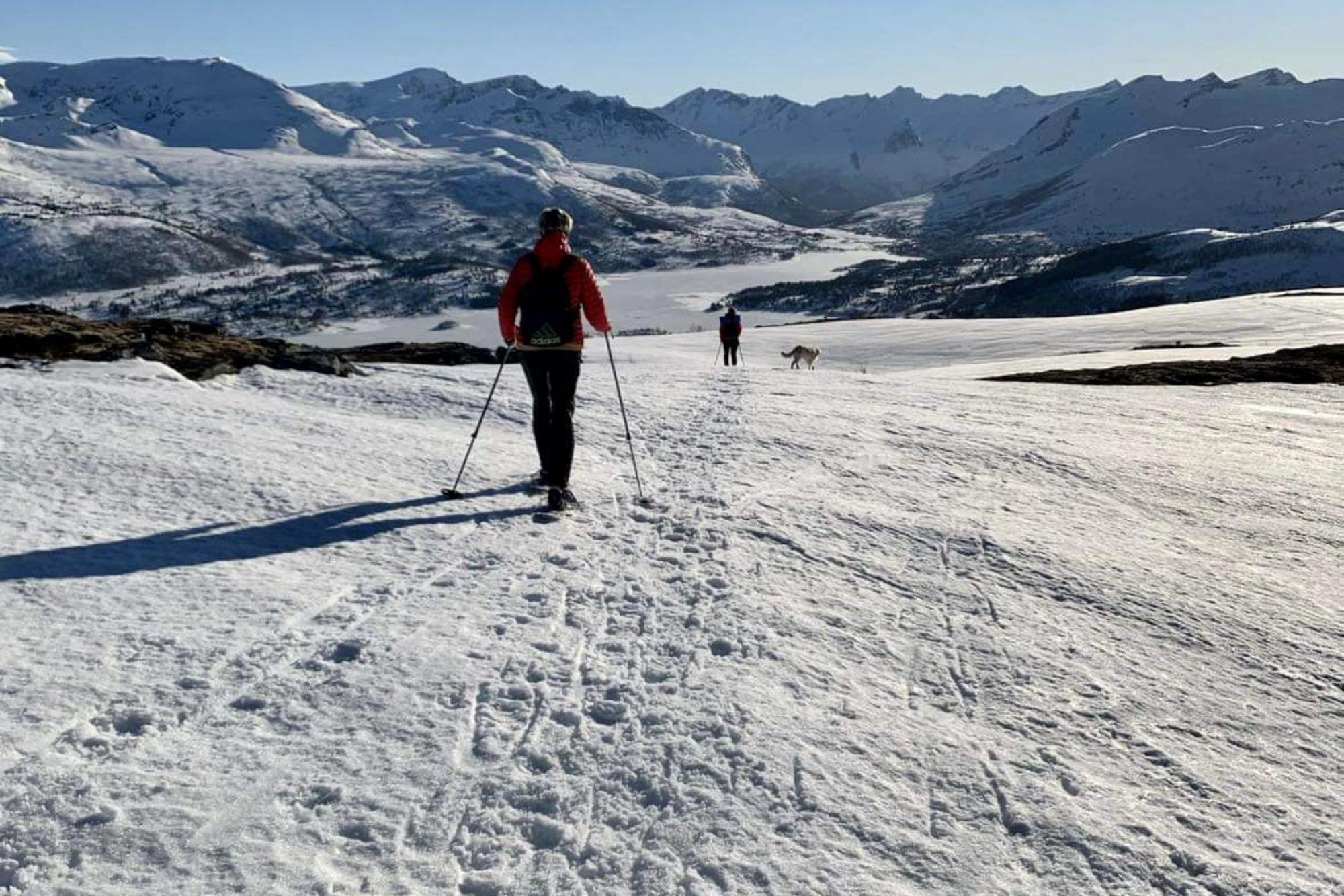 Guided winter hiking on snowshoes