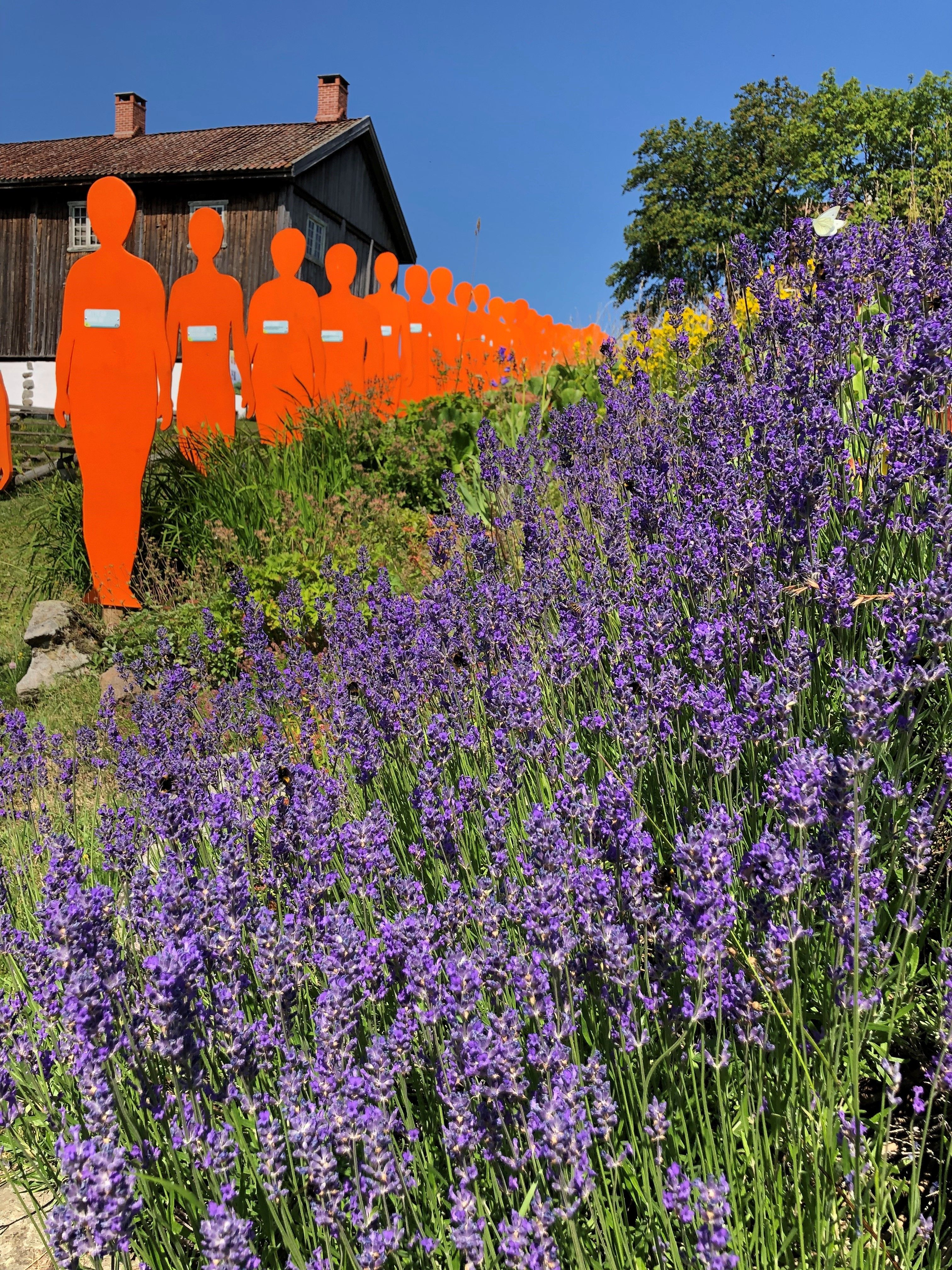 Hadeland Folkemuseum en flott sommerdag. Generasjonene fra Halvdan Svarte til i dag.