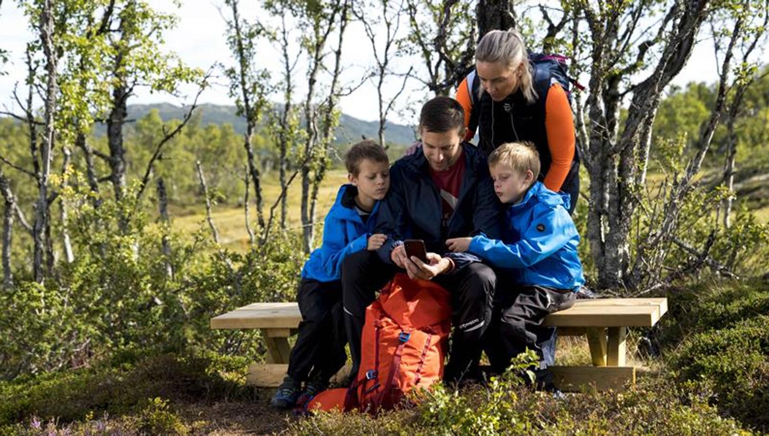 Last ned naturappen du får hos Hardangervidda Nasjonalparksenter og lær mer underveis.