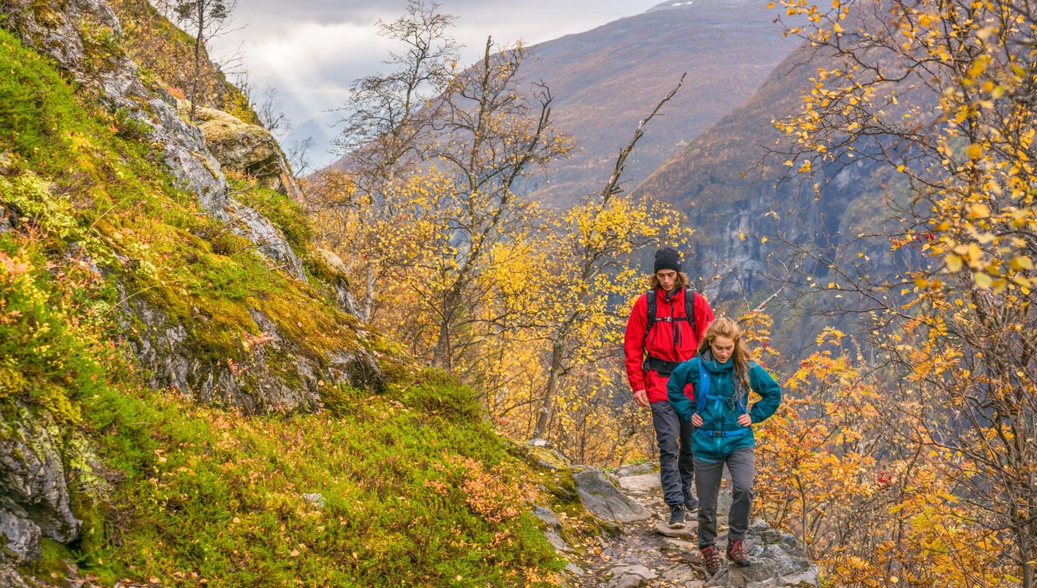 Vettismorki Årdal
