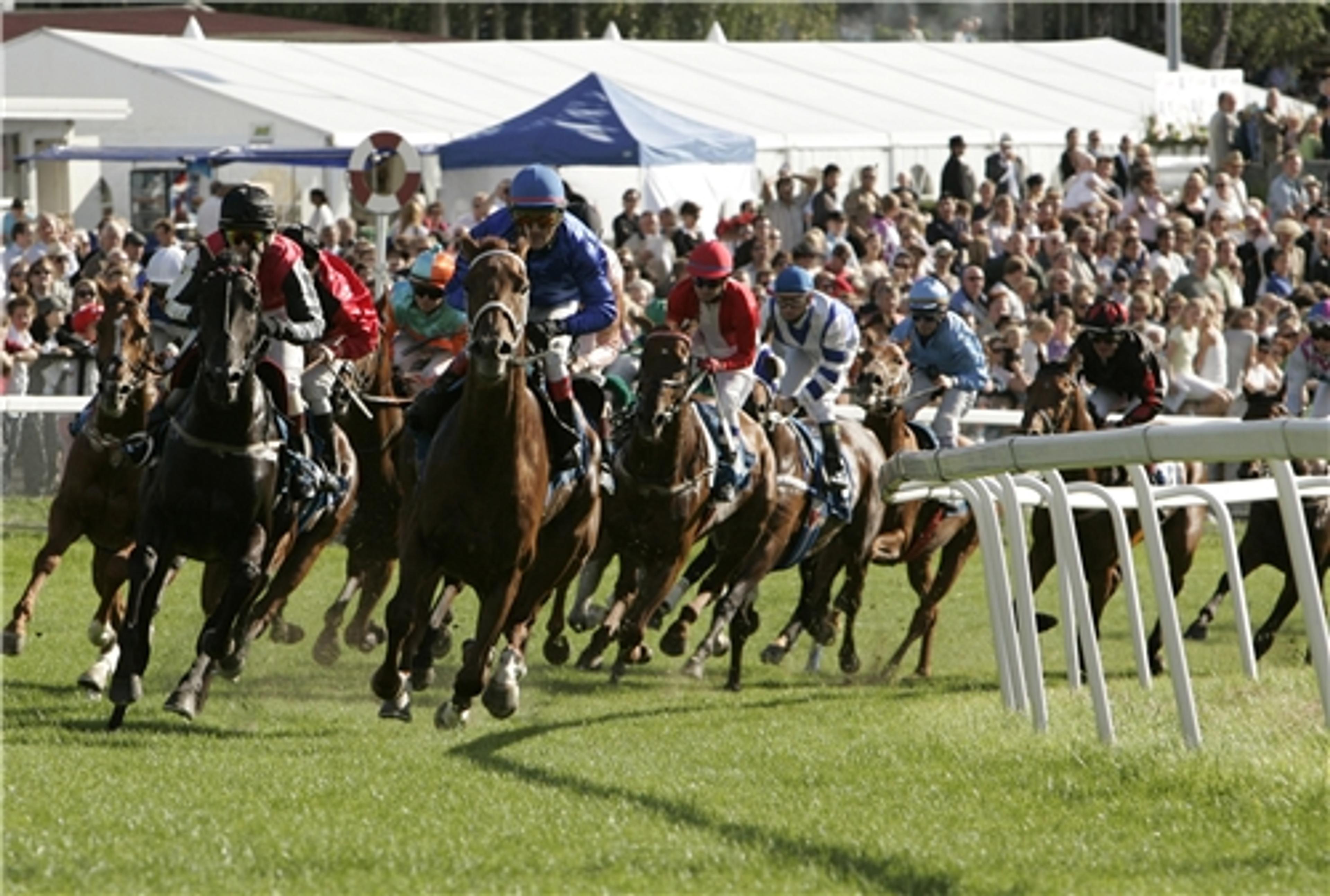 Hester med ryttere på galoppbanen under et løp