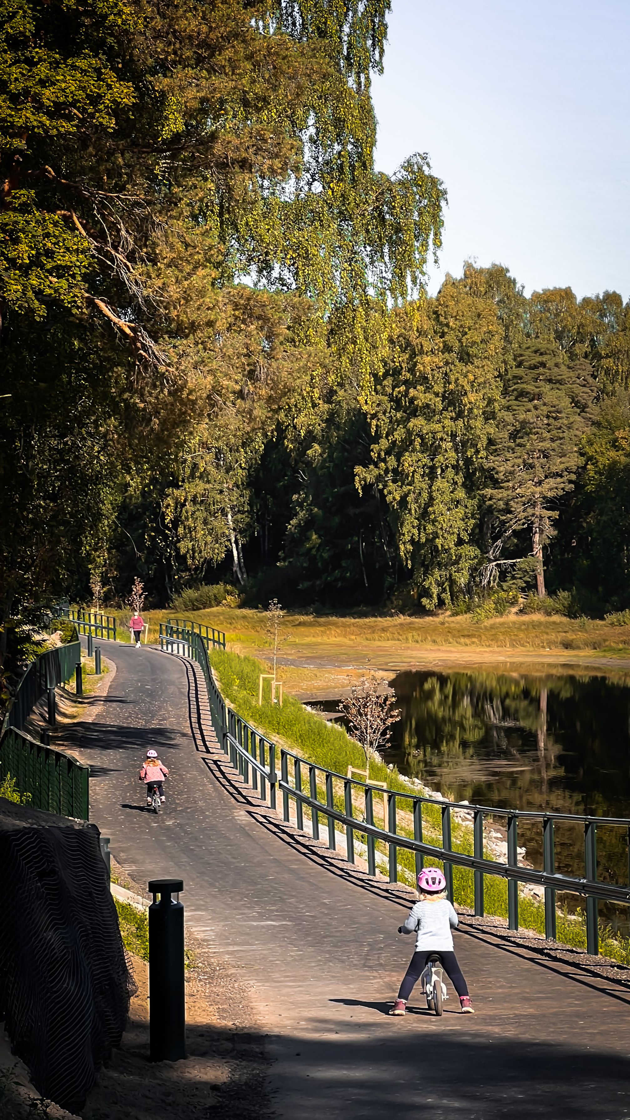 Elvelangs i Hønefoss