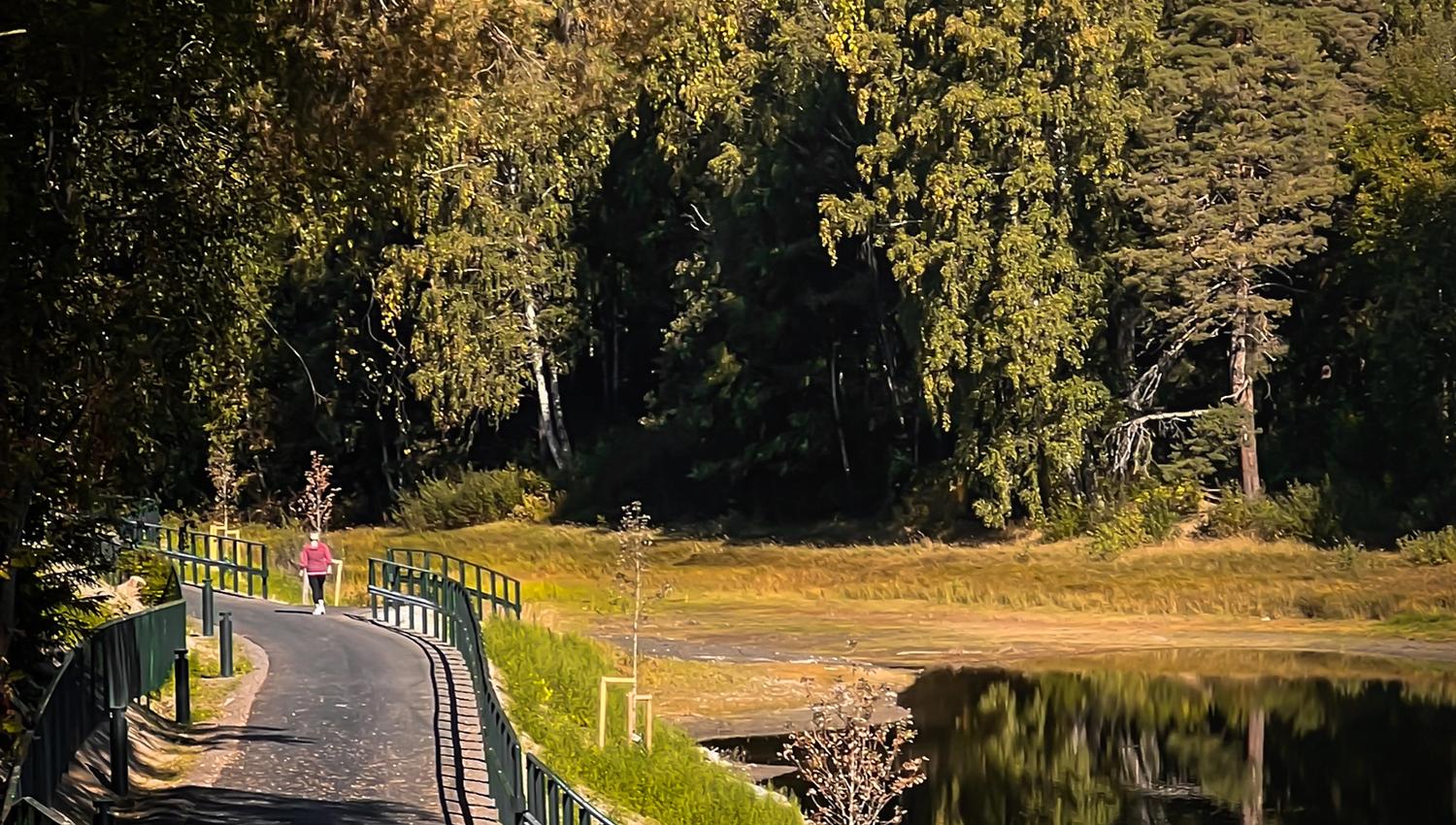 Elvelangs i Hønefoss