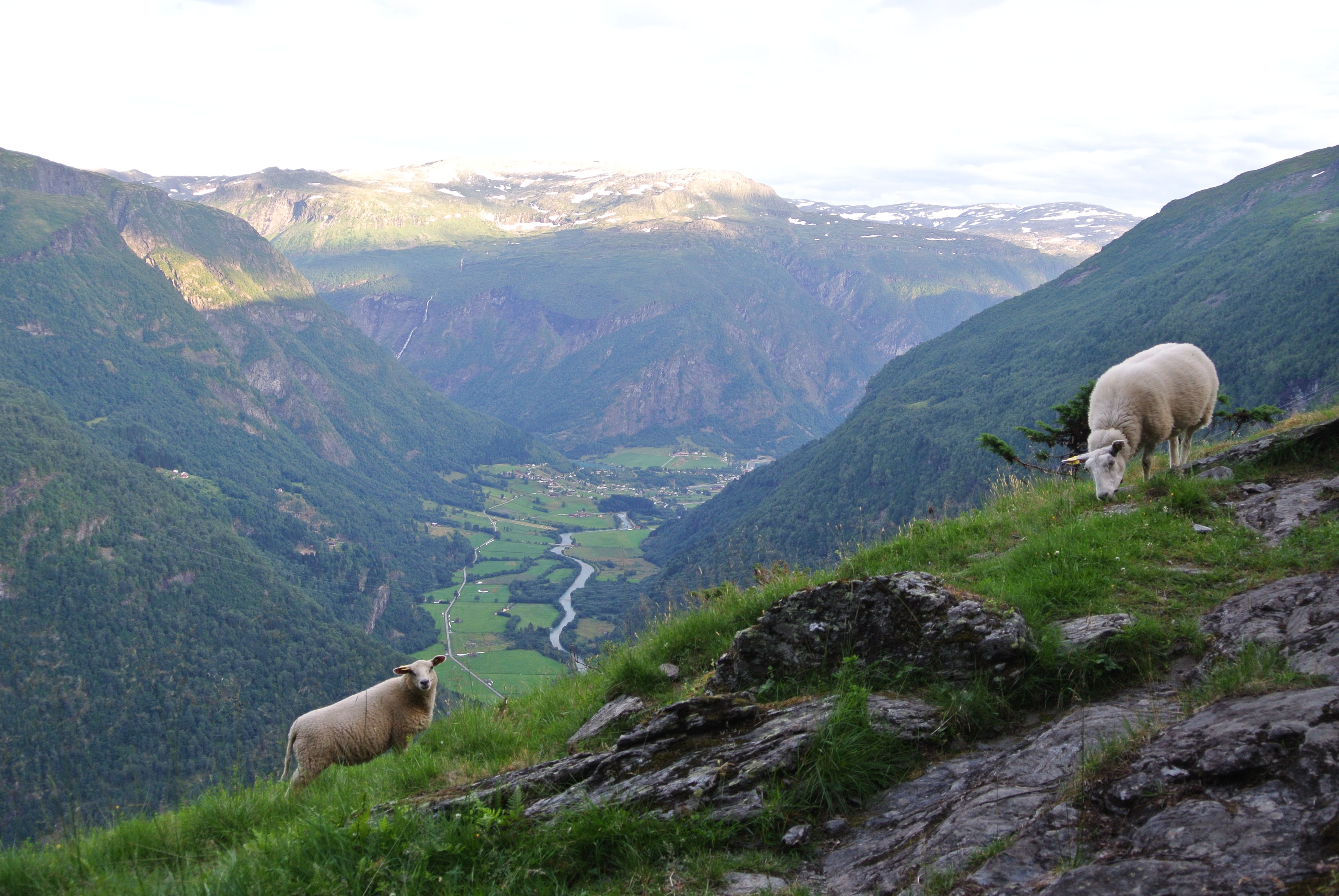 Mørkridsdalen