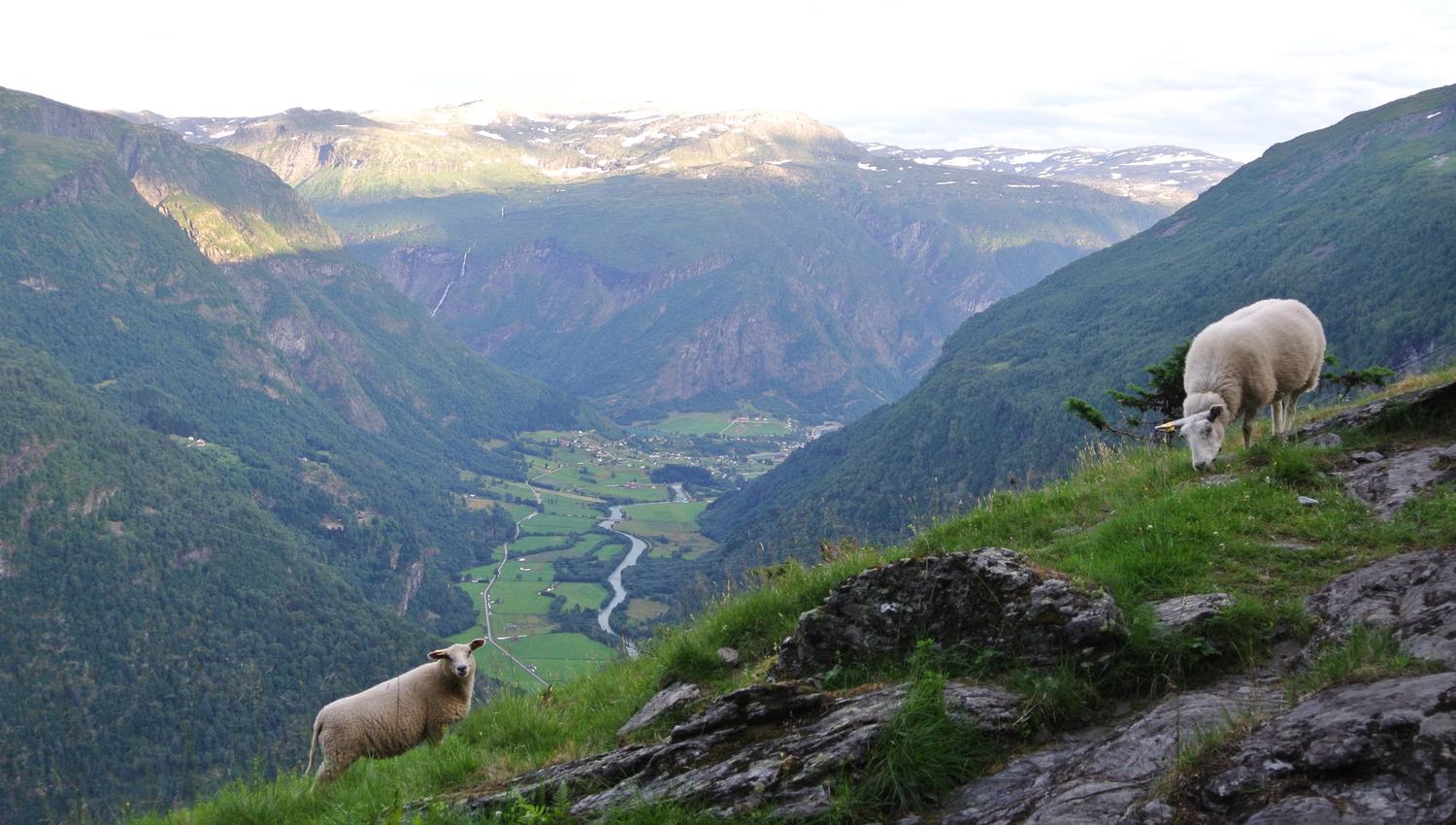 Mørkridsdalen