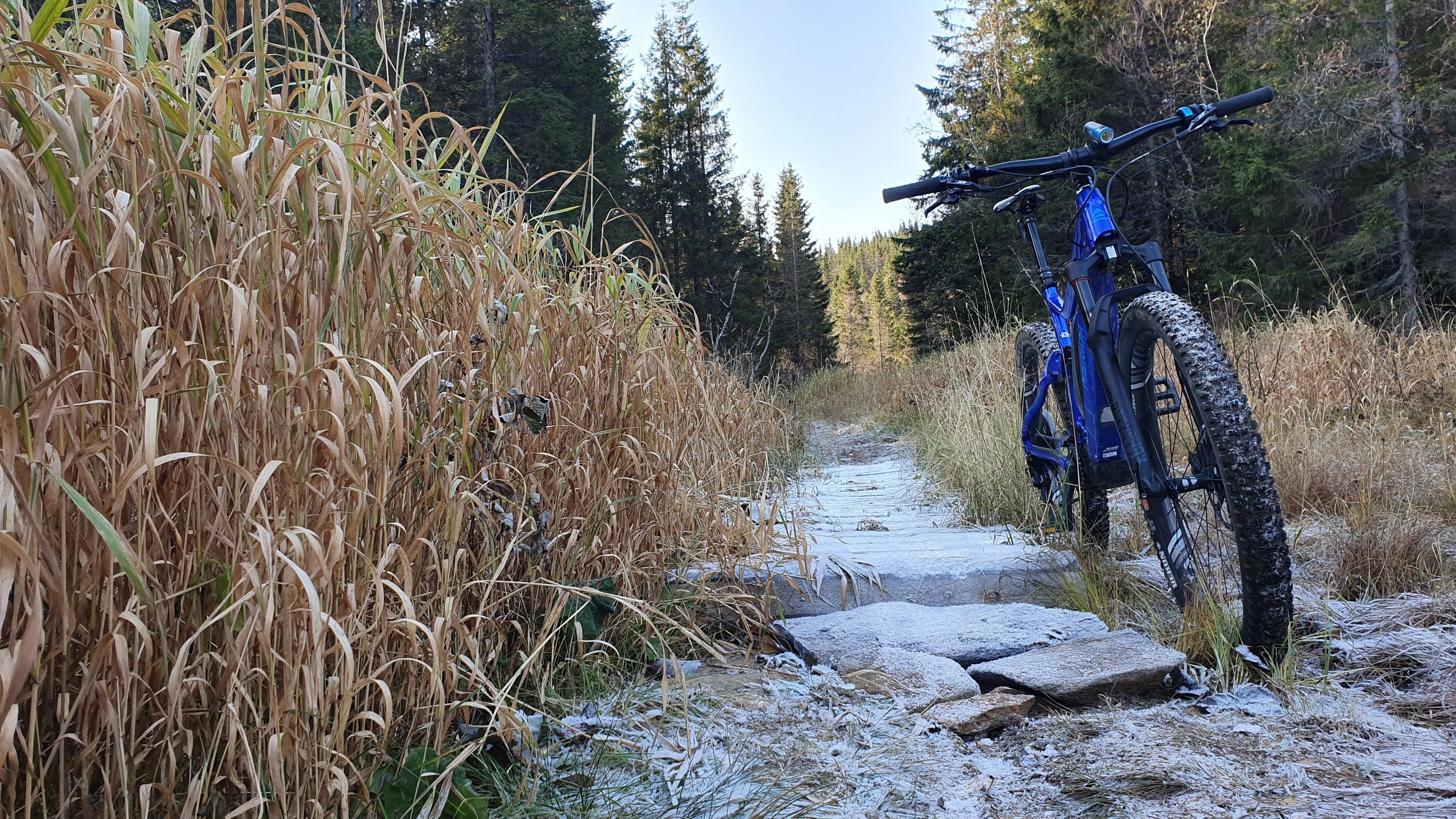 Experience North – Guidede eBike Tours