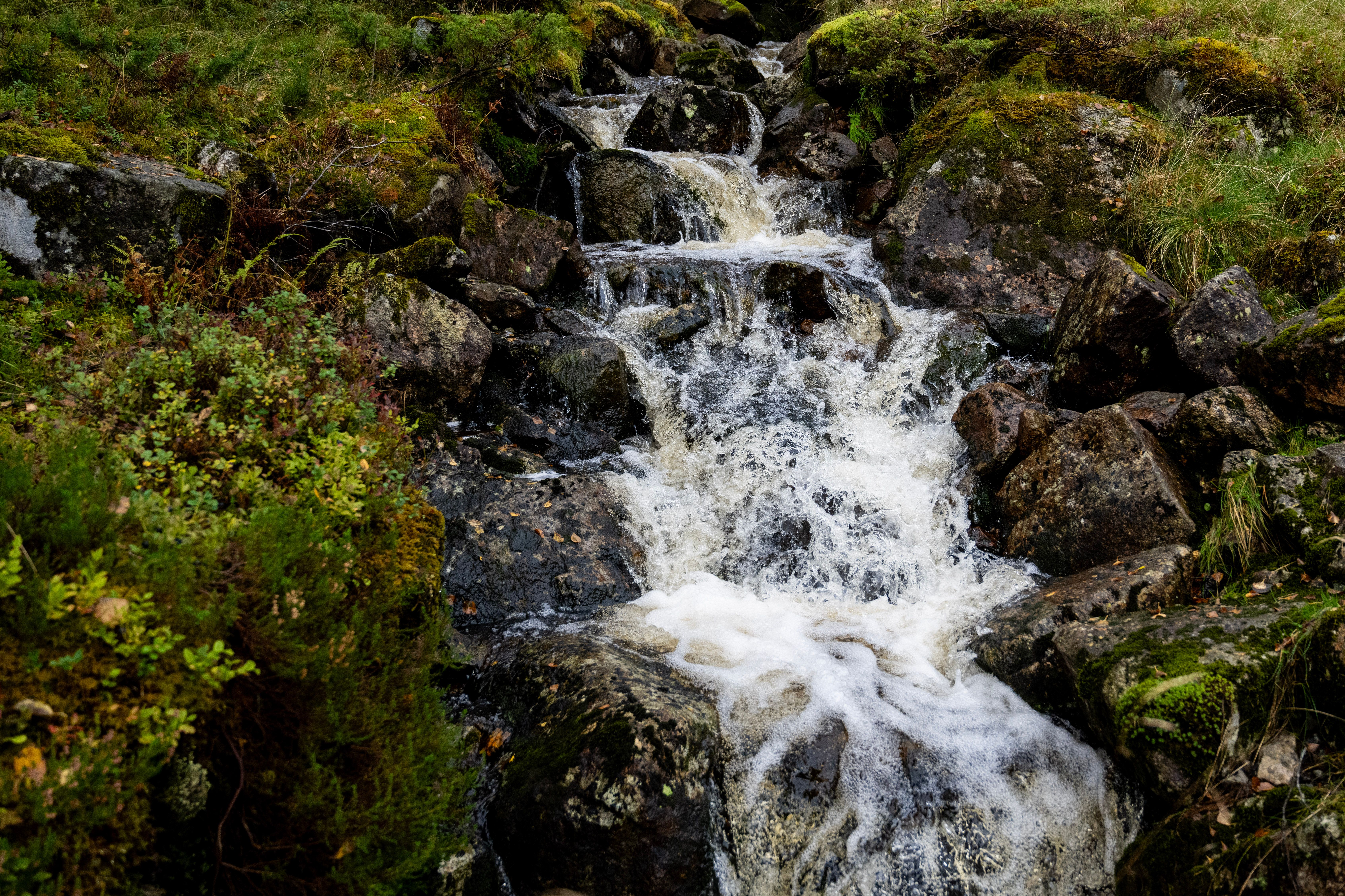 Fresh mountain water