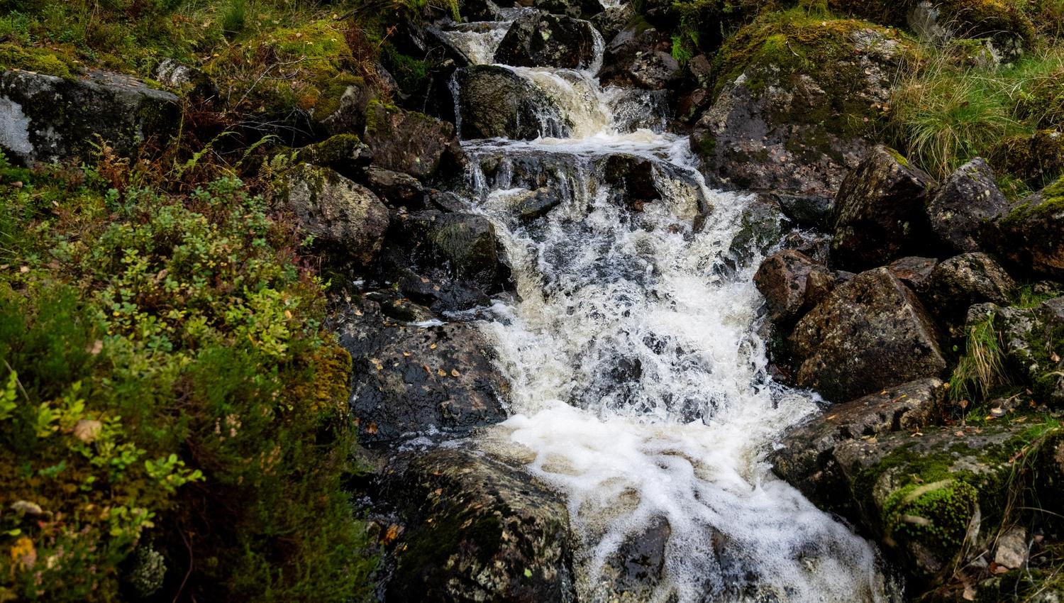 Fresh mountain water