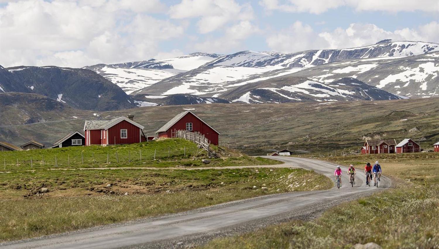 Fire syklister på en grusvei i fjellet, med røde stølshus og snødekt høyfjell bakenfor.