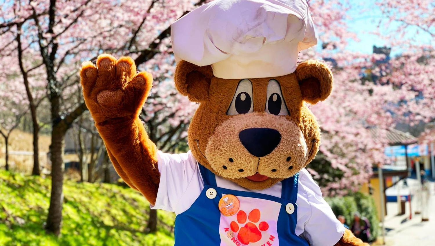 Stay the night in the middle of Kongeparken!