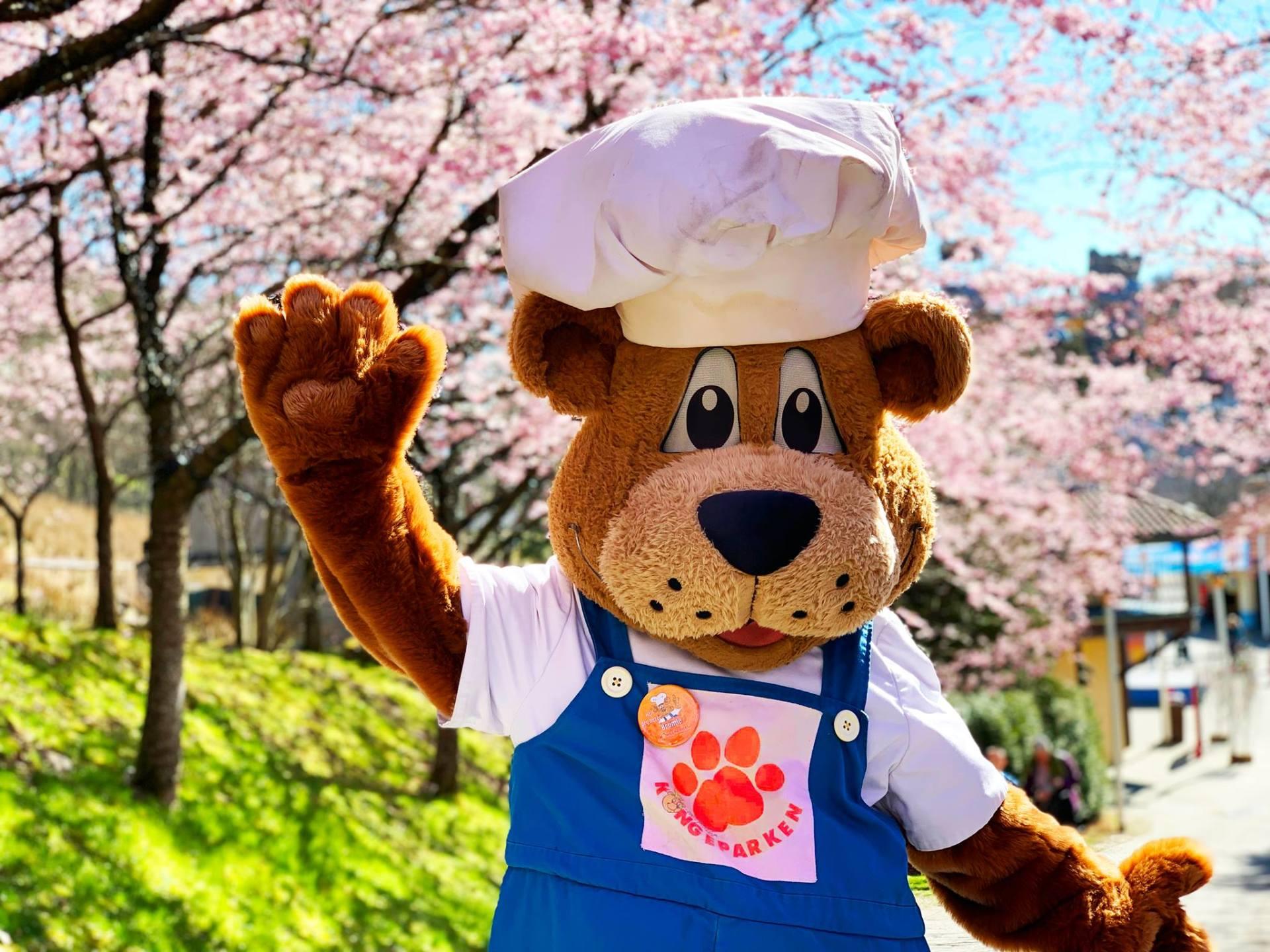 Stay the night in the middle of Kongeparken!