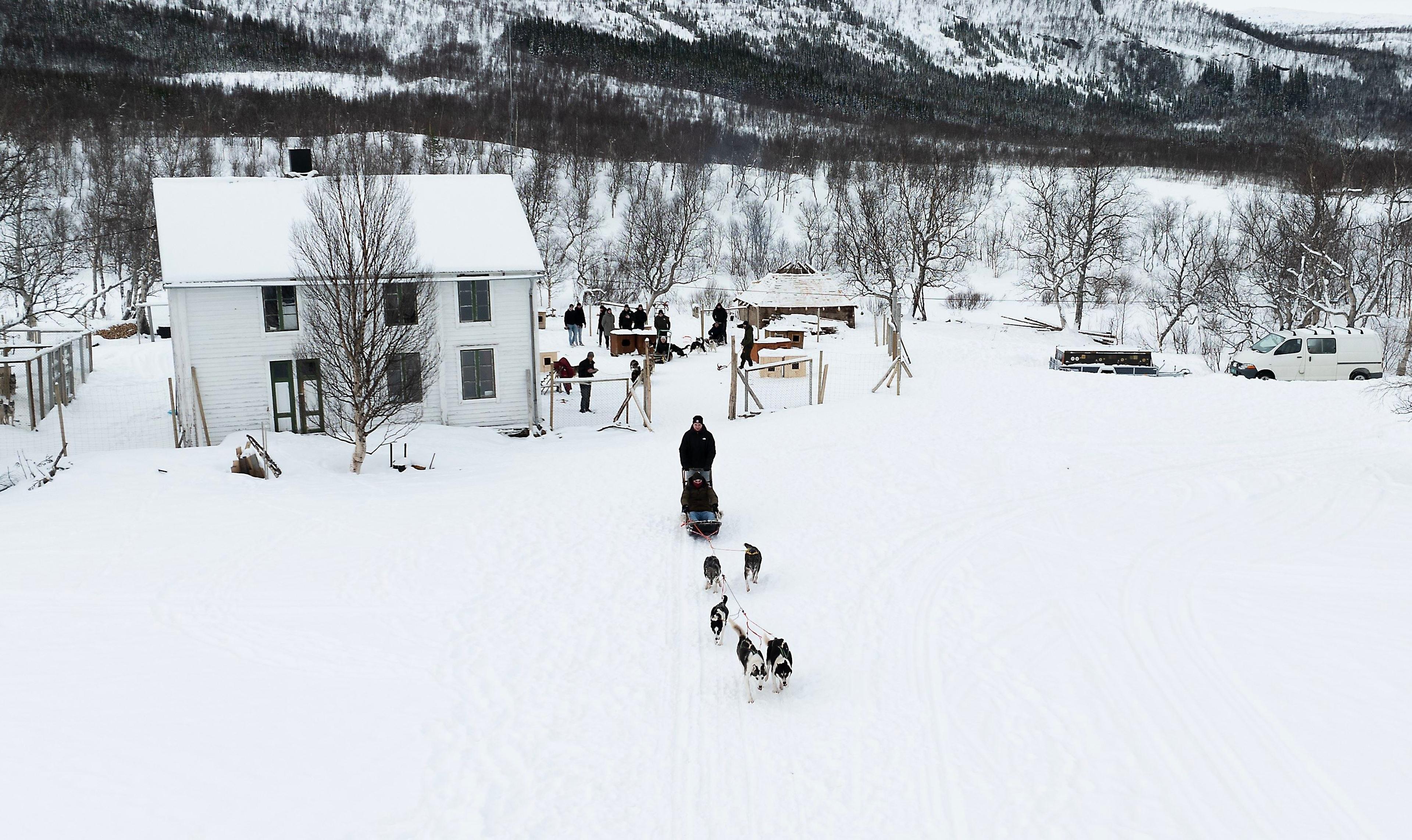 Dog sledding