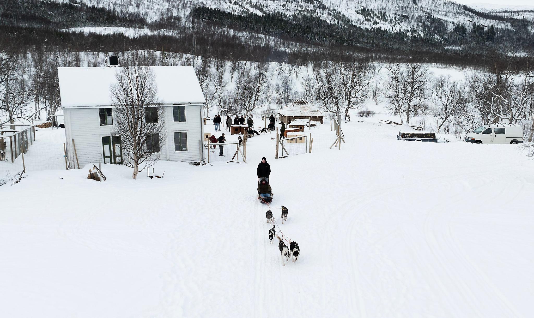 Dog sledding