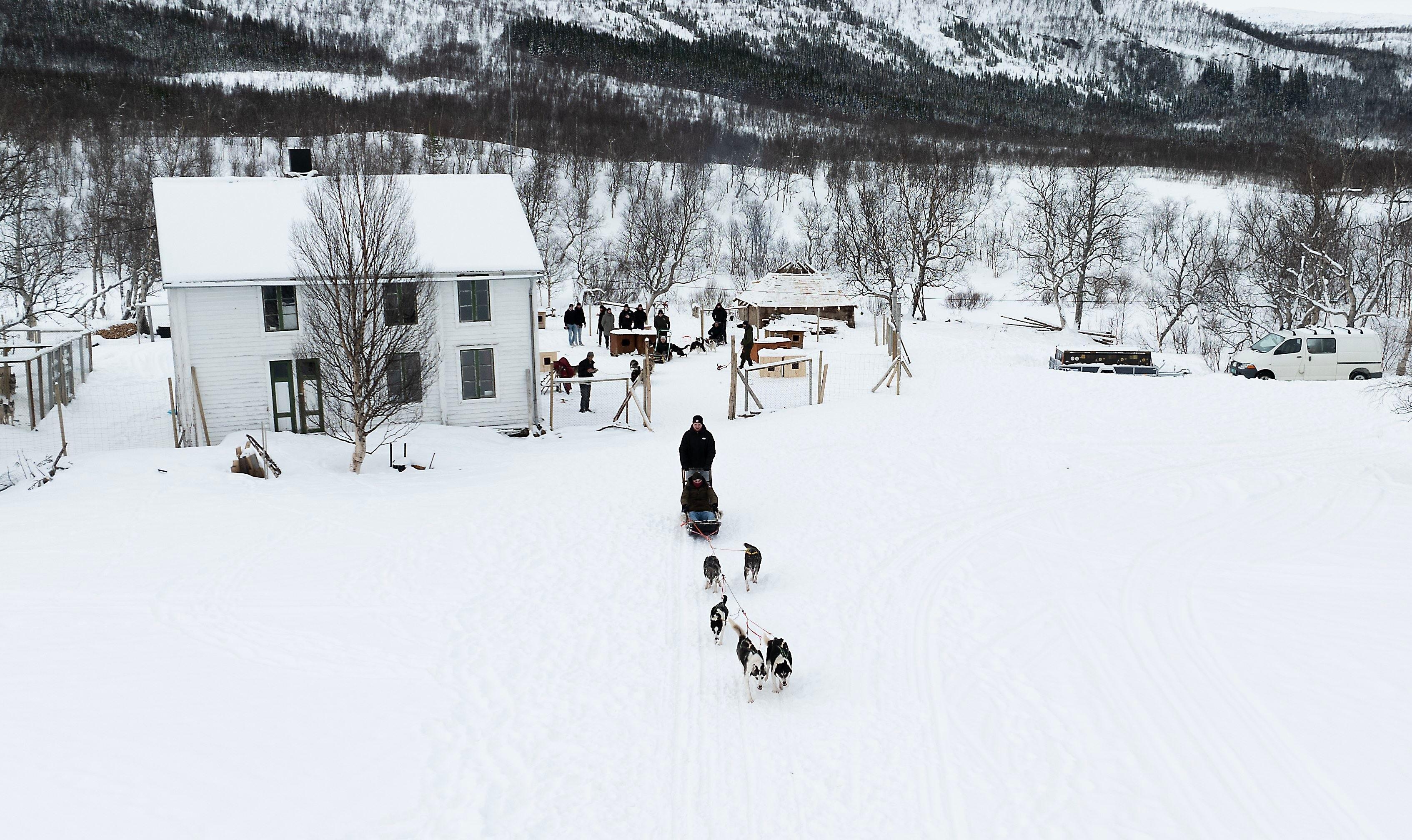 Dog sledding
