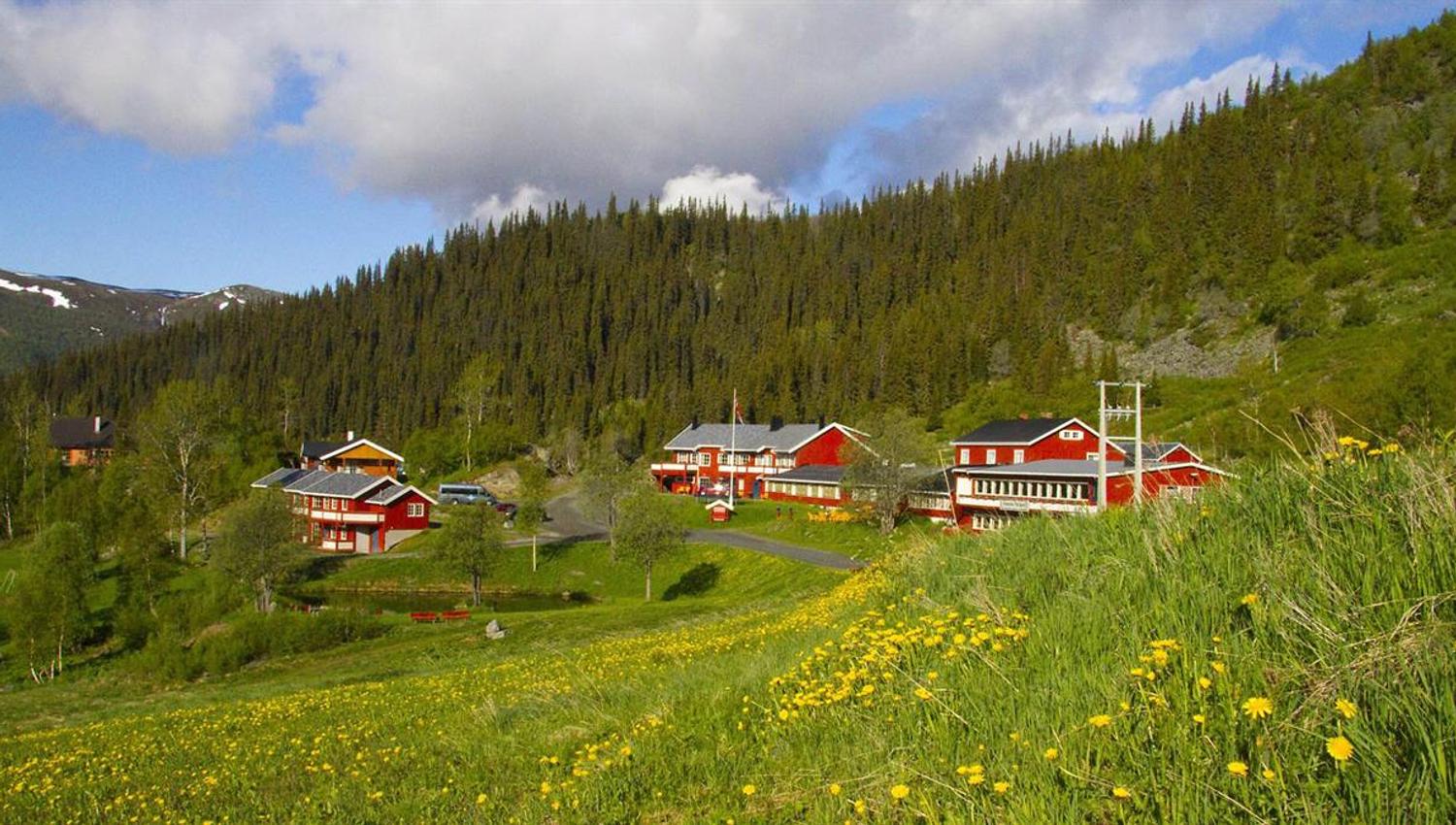 Rødmalt fjellstue i en grønn li med blomstrende løvetann og skog i bakgrunnen.