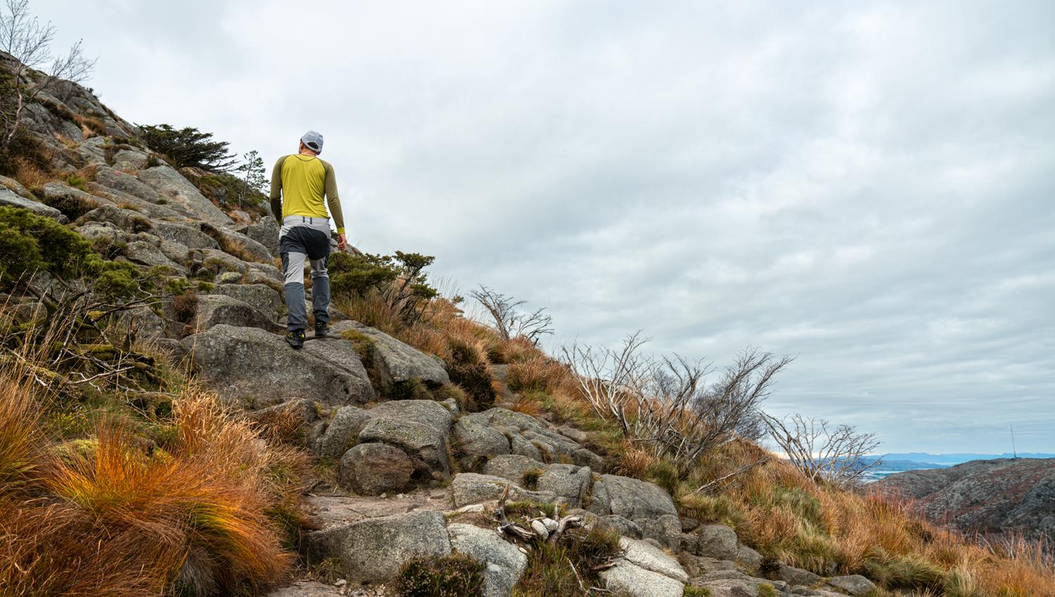 Up towards the top of Dalsnuten