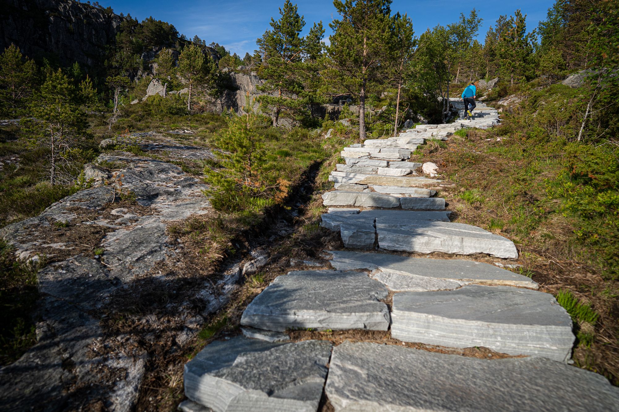 Kvernberget hike