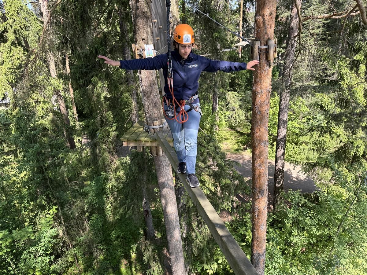A person balancing on a narrow wooden beam high above the ground with a safety harness.