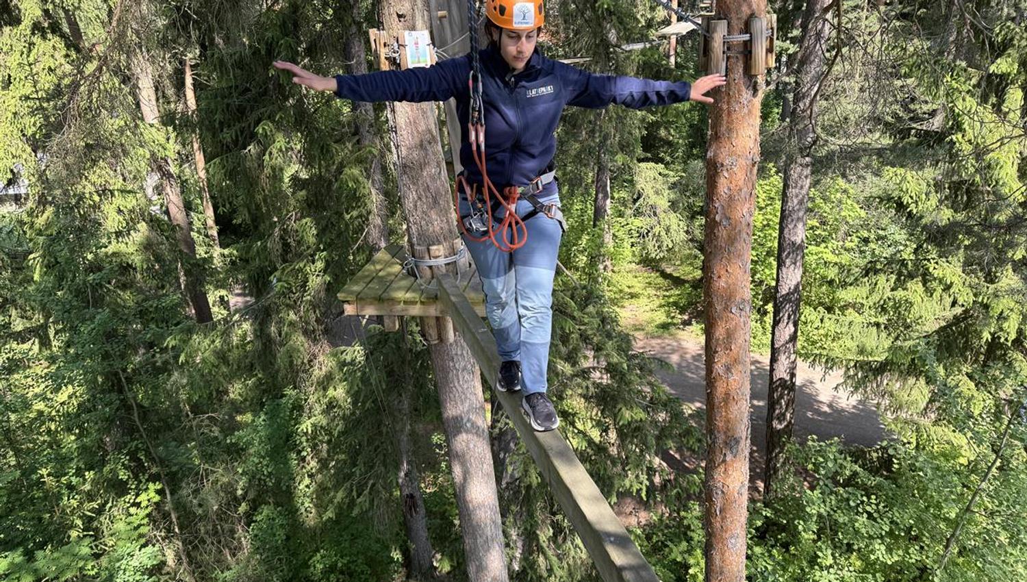 A person balancing on a narrow wooden beam high above the ground with a safety harness.
