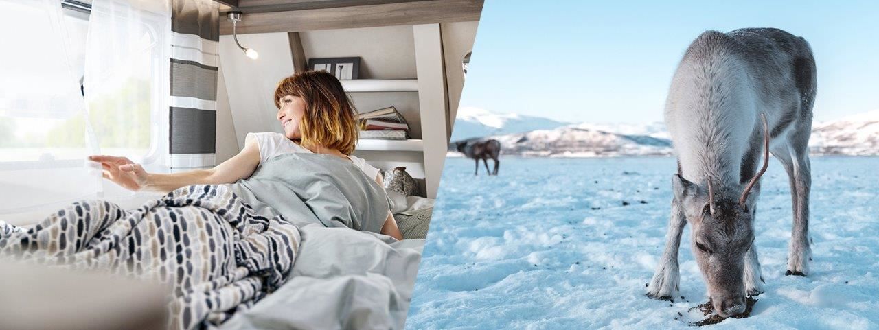 Person in bed in a room with books and reindeer on snowy background with mountains.