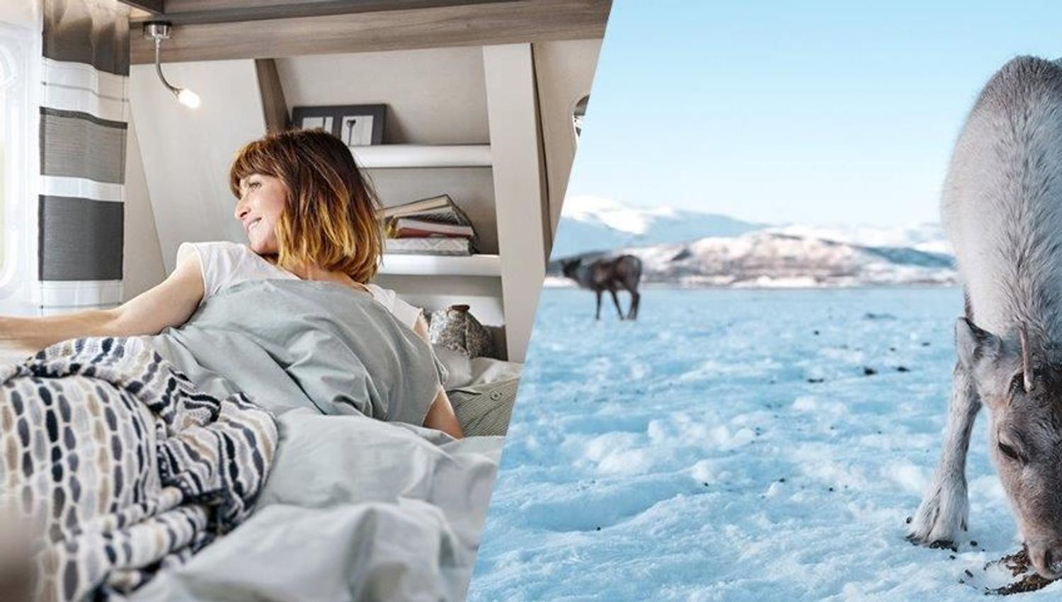 Person in bed in a room with books and reindeer on snowy background with mountains.