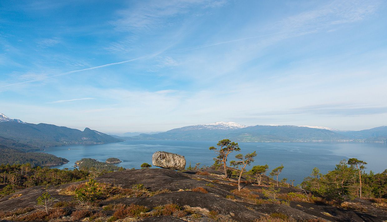 Fjord landscape with mountains, forest, and cliffs by Hardangerfjord.