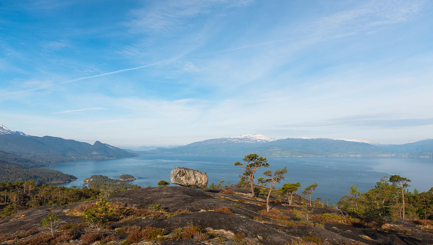 Fjord landscape with mountains, forest, and cliffs by Hardangerfjord.