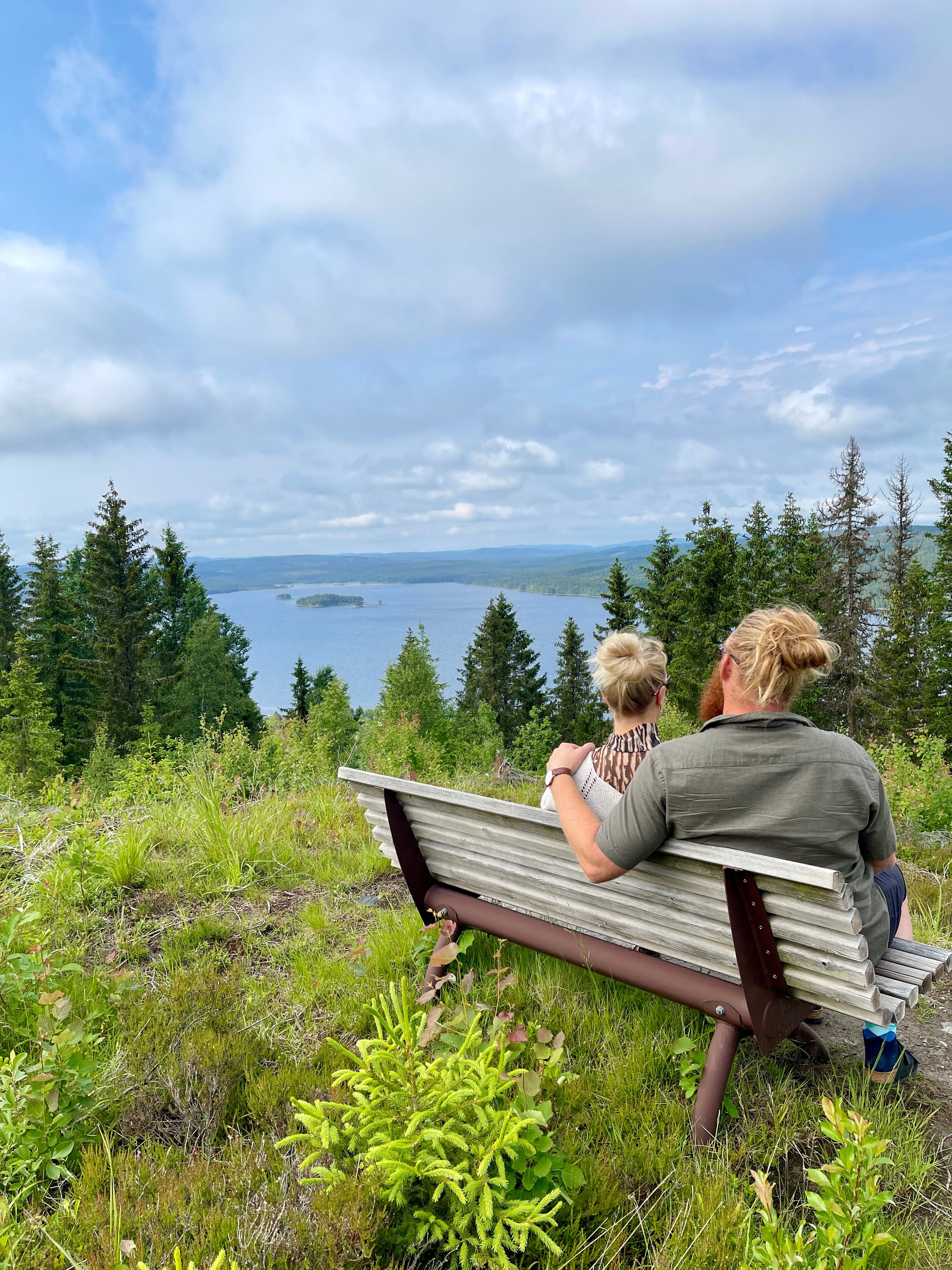 Finnskogtoppen benk og utsikt