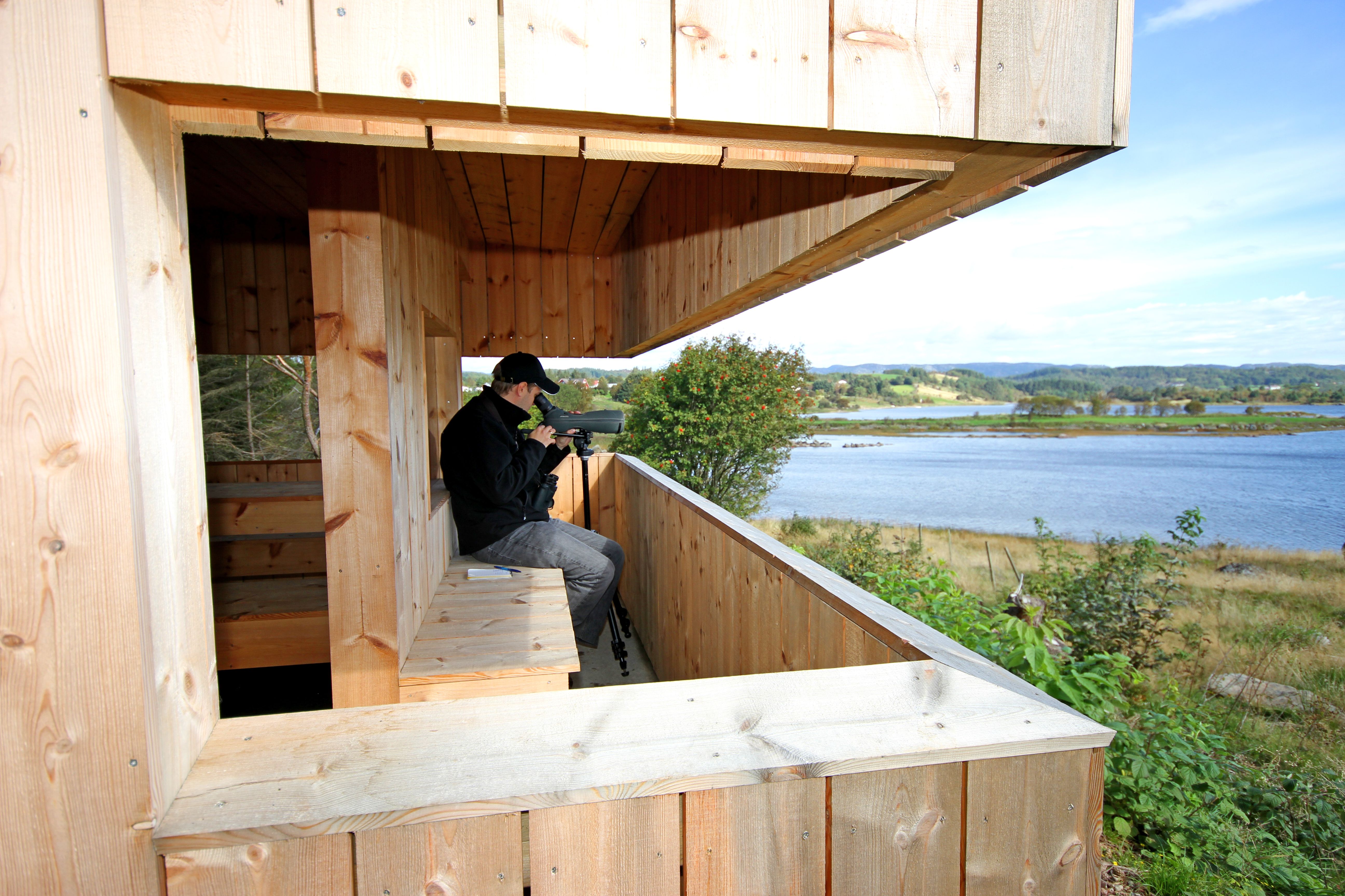 Fuglekikking Slevdalsvann
