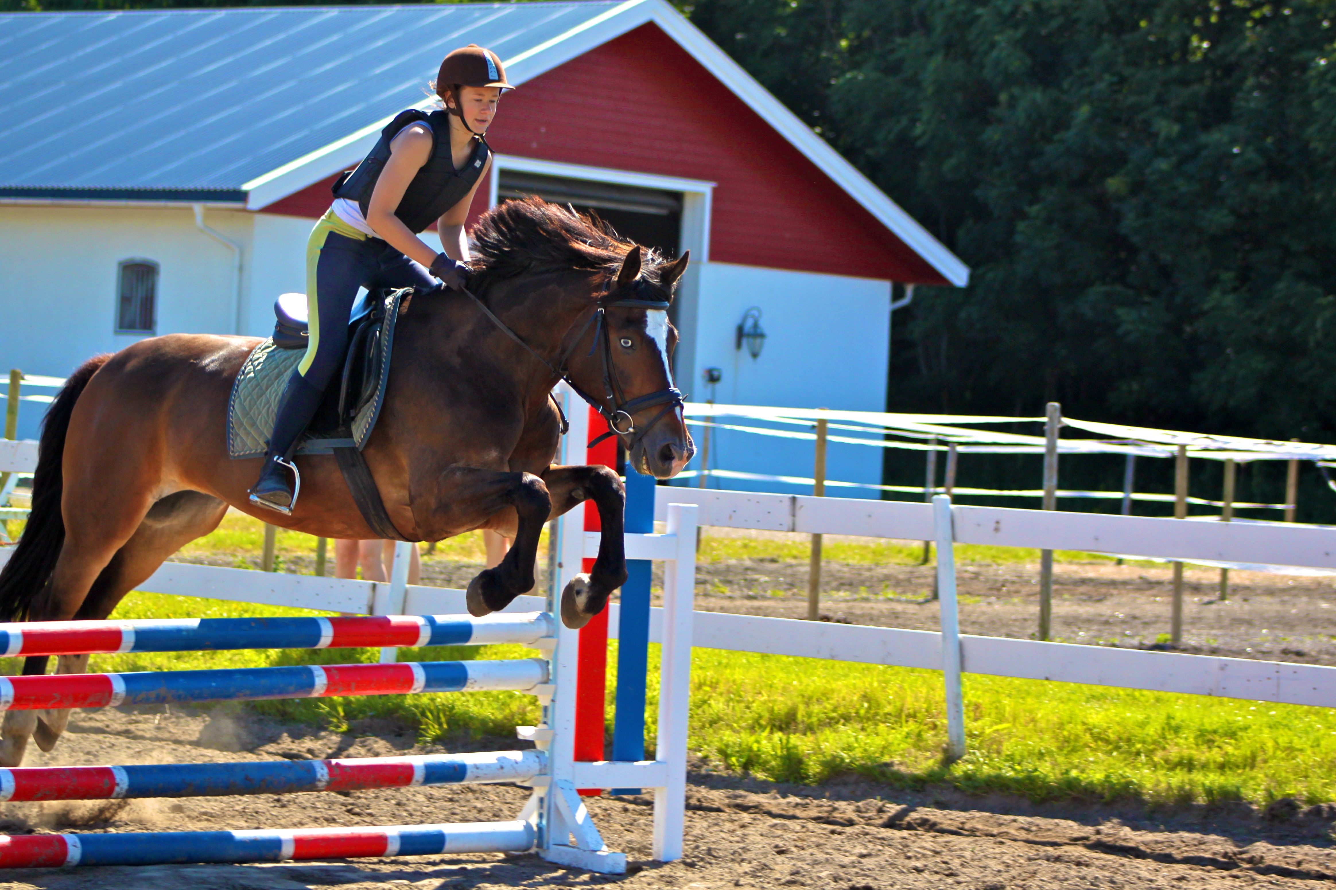 Hest hopper over hinder