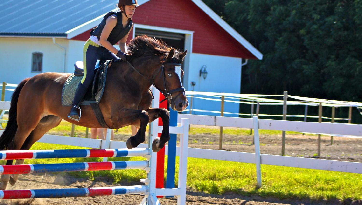 Hest hopper over hinder