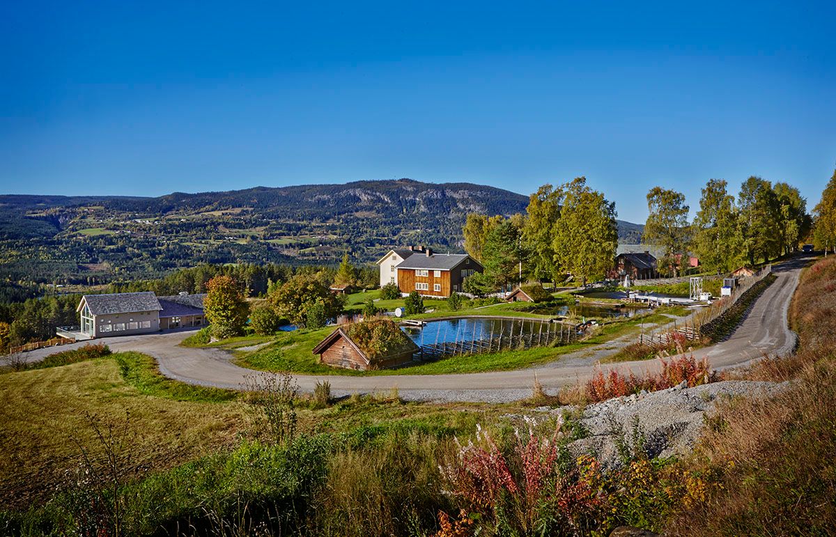 Noraker Gård i Aurdal