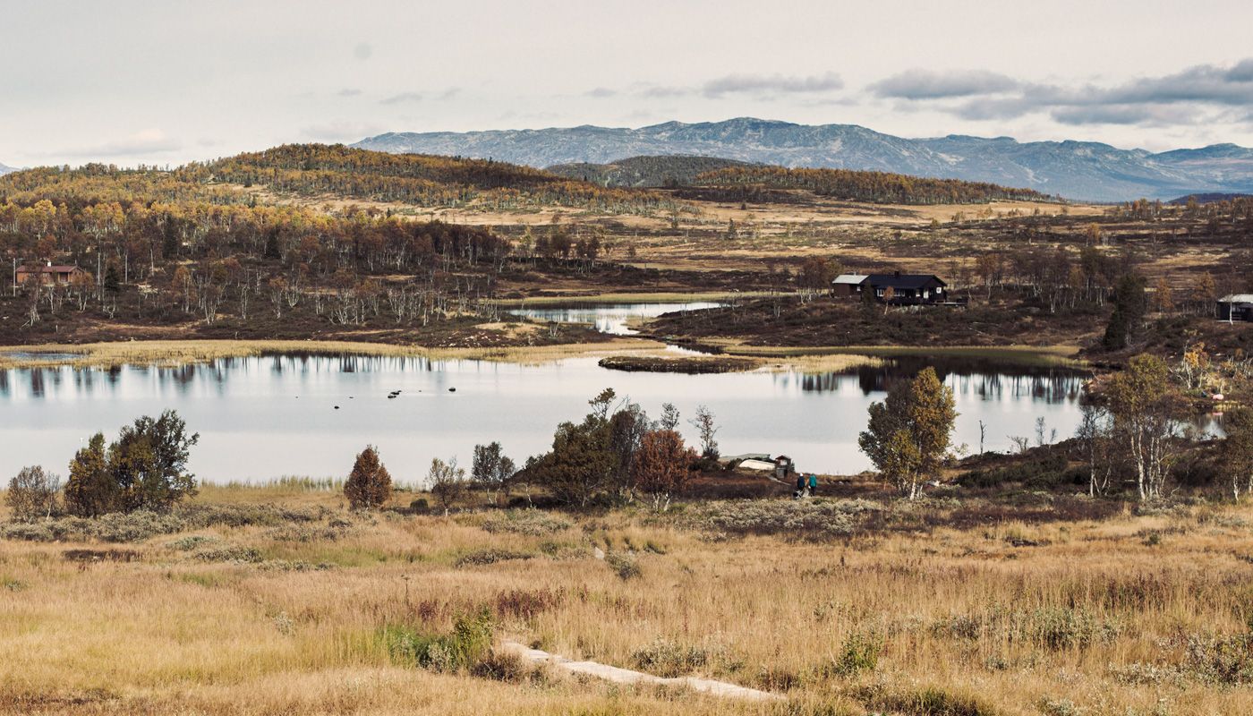 utsikt over Hardangervidda